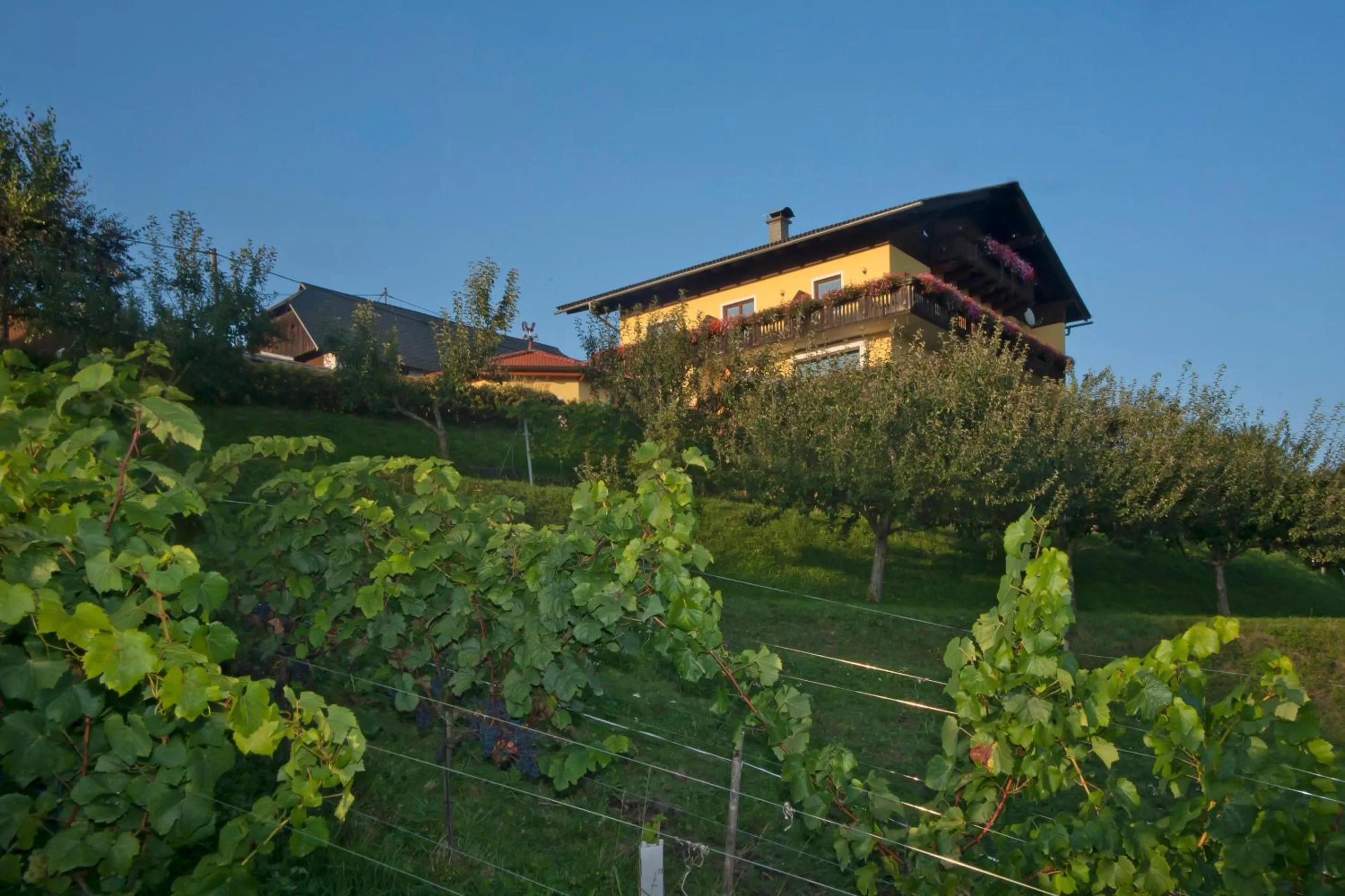 Property building in Pleschinhof