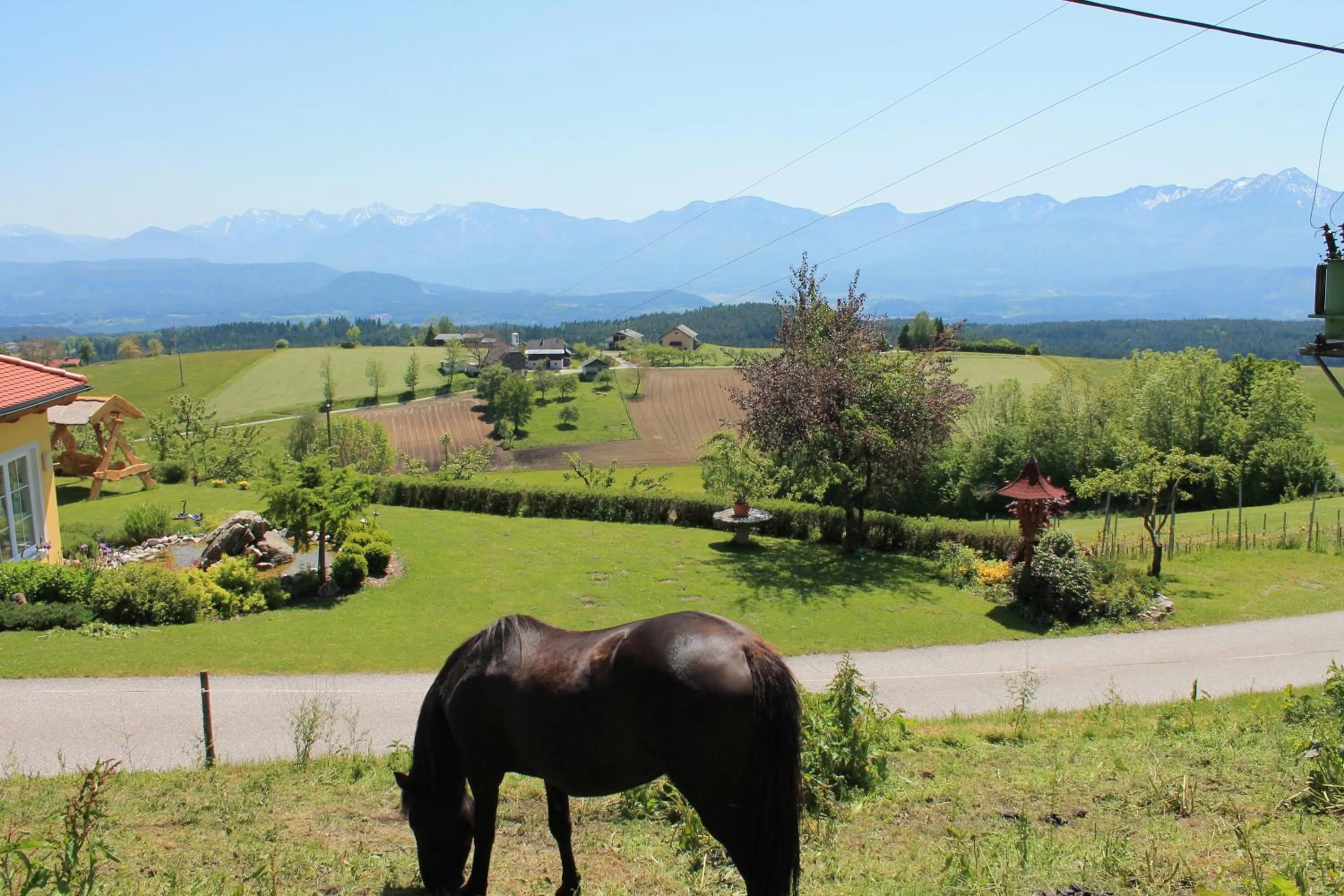 Animals in Pleschinhof