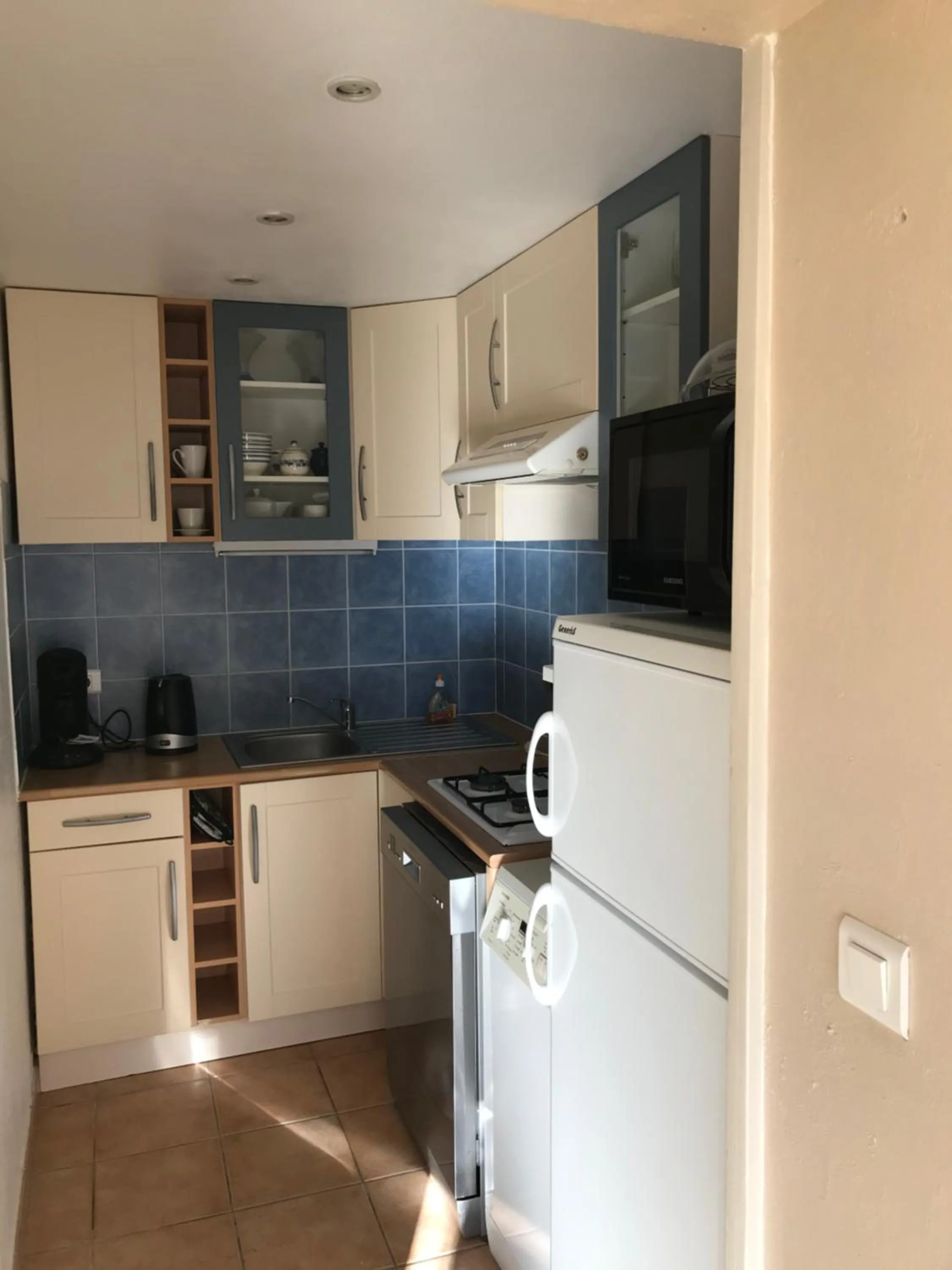 dishwasher in Mas Saint-Ange