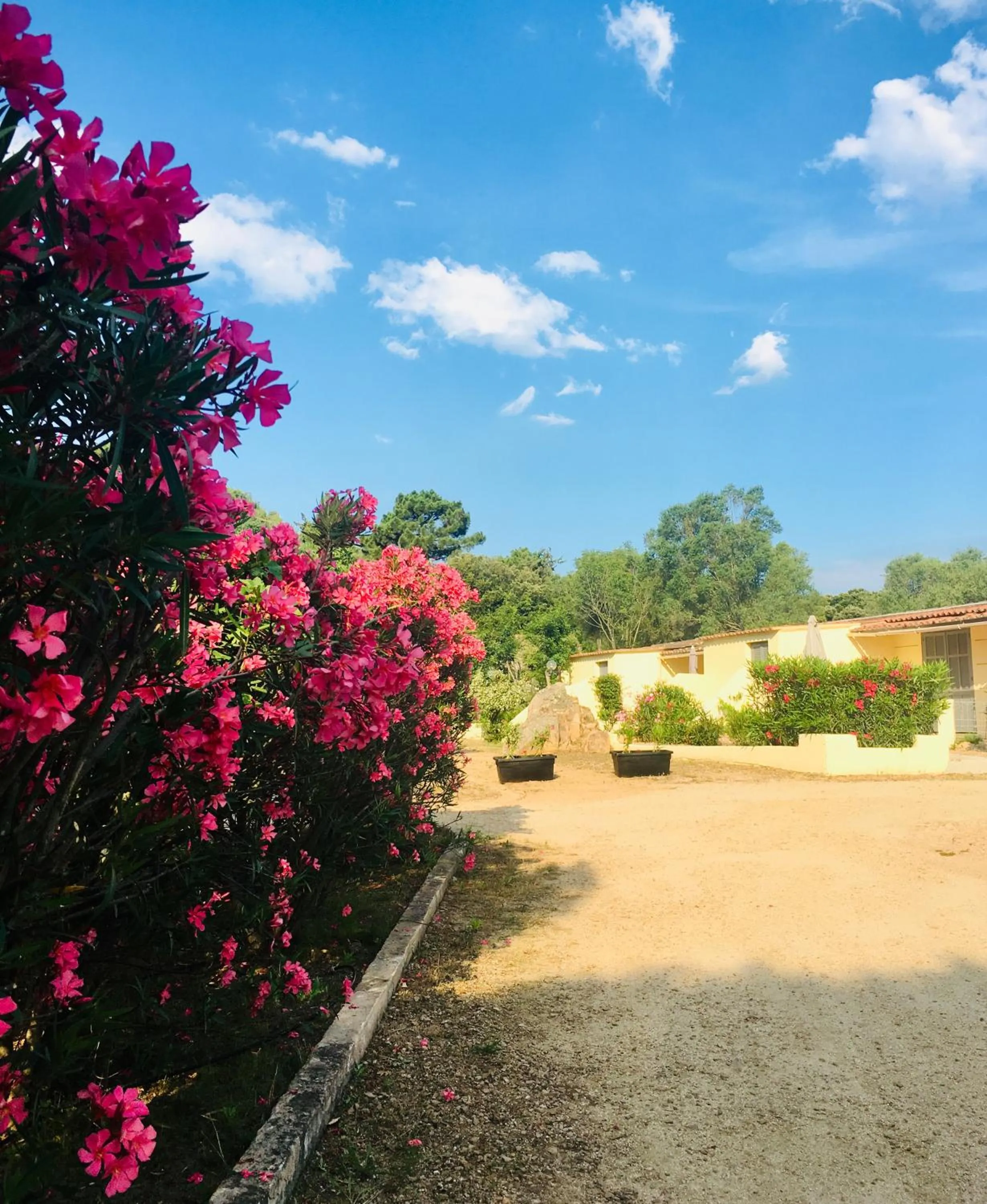 Garden in Bungalows Filippi