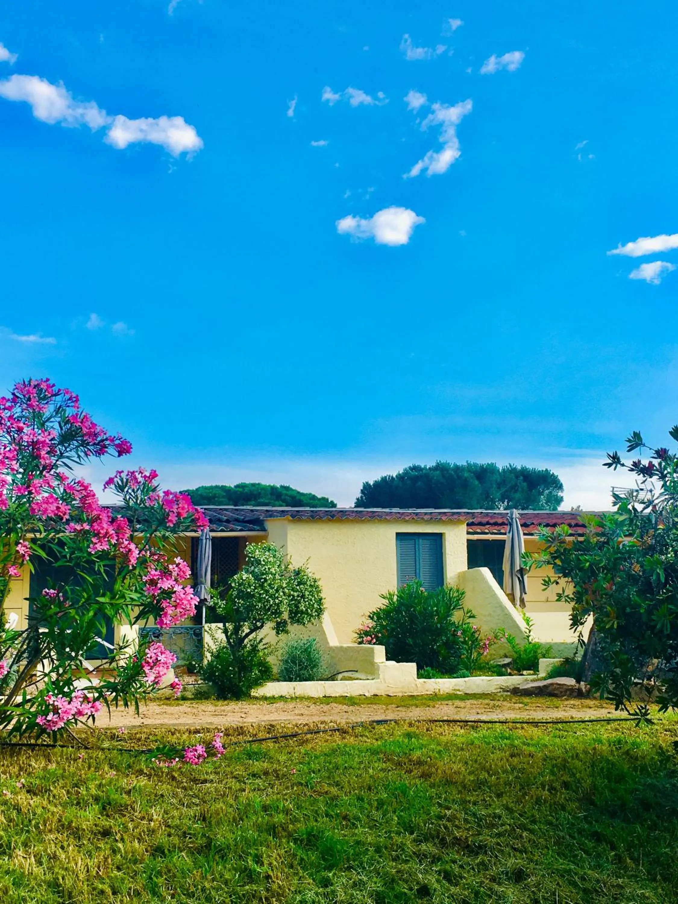 Garden in Bungalows Filippi