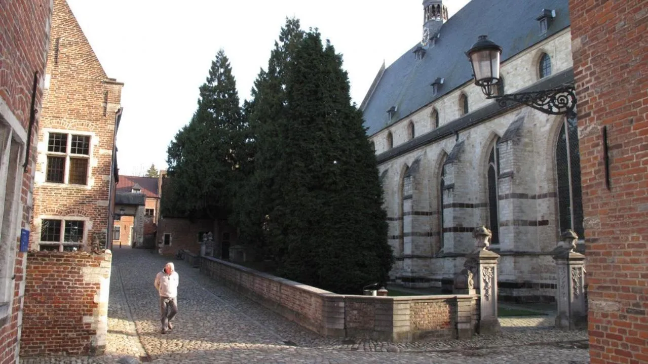 Area and facilities in Hotel Guesthouse Begijnhof