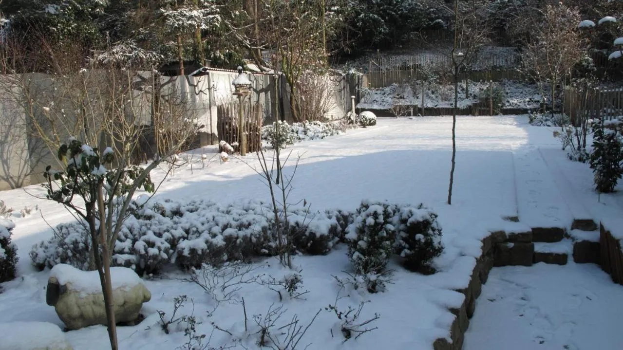 Winter in Hotel Guesthouse Begijnhof