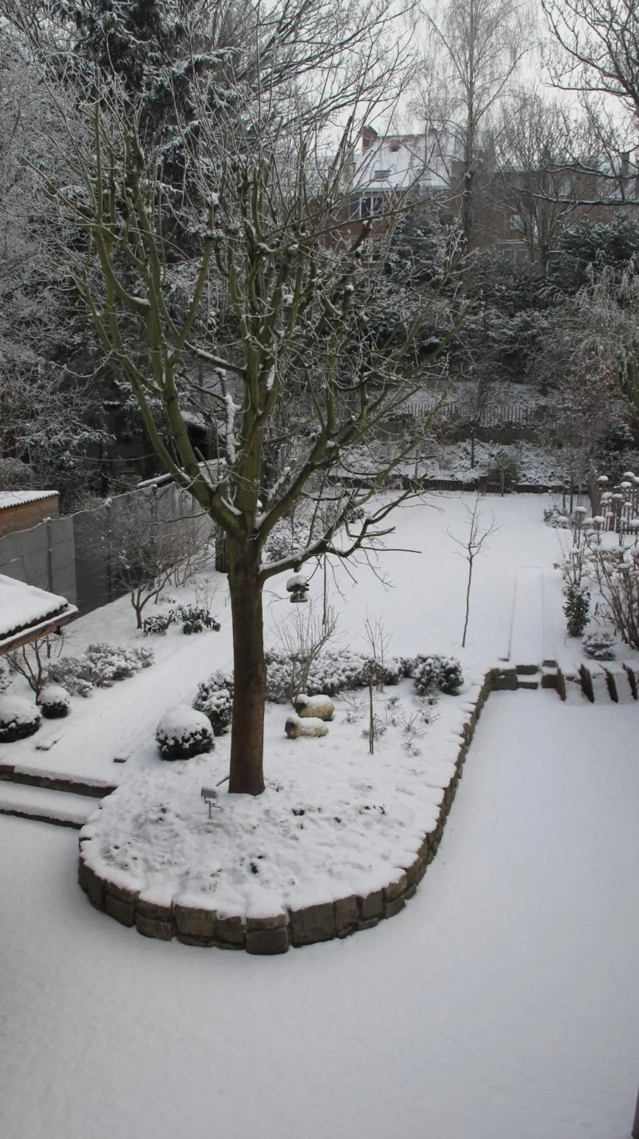 Winter in Hotel Guesthouse Begijnhof