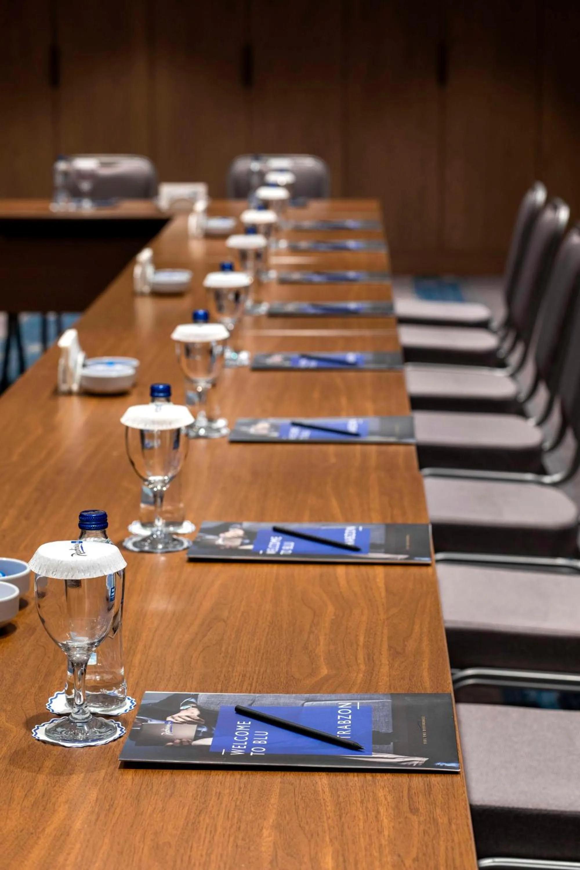 Meeting/conference room in Radisson Blu Hotel Trabzon