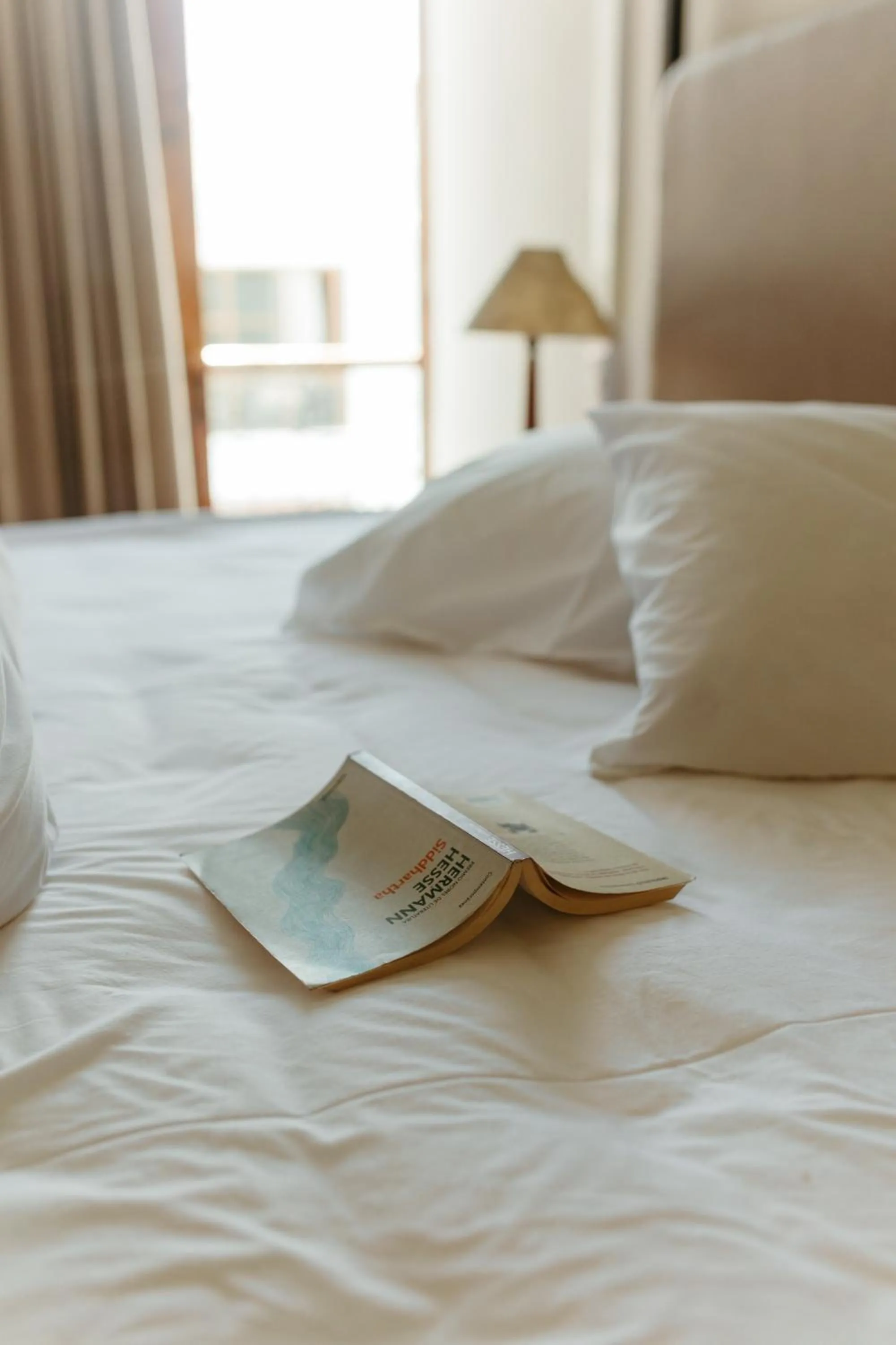 Bed in Plaza Central