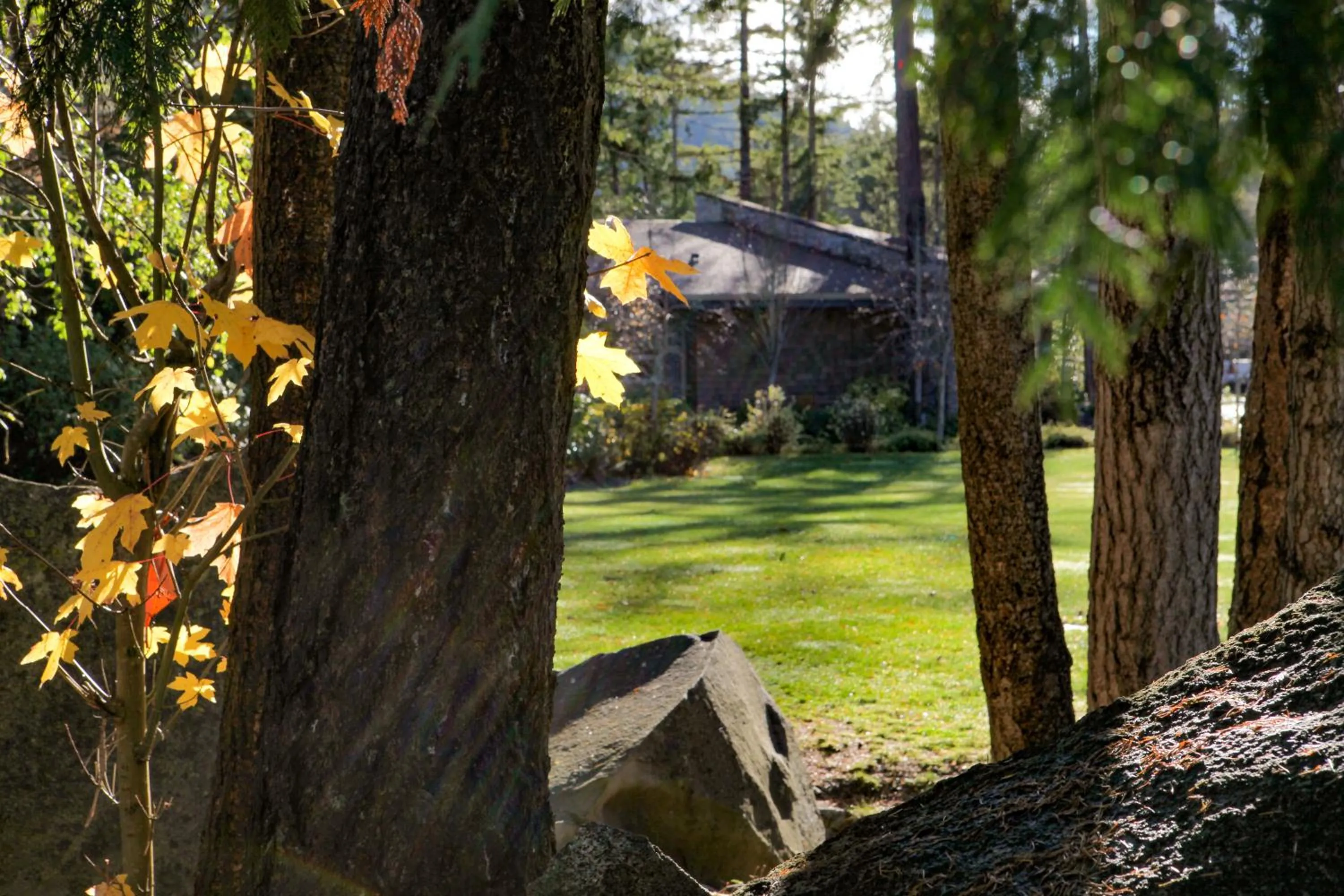 Painted Boat Resort Spa and Marina