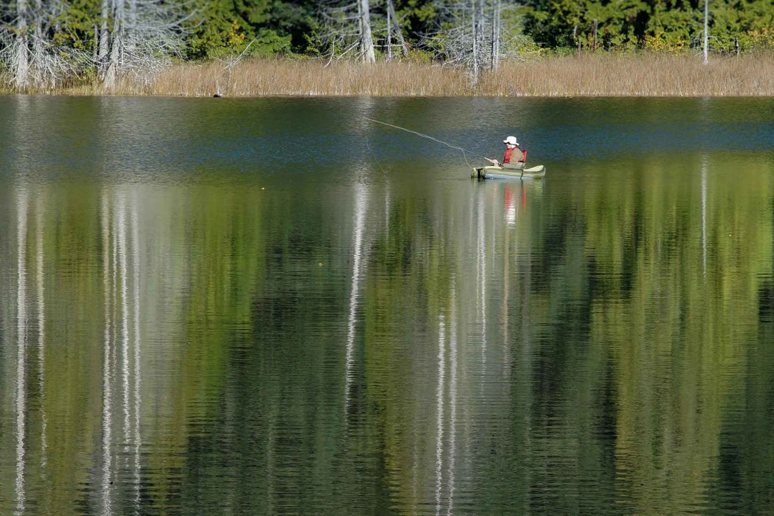 Painted Boat Resort Spa and Marina