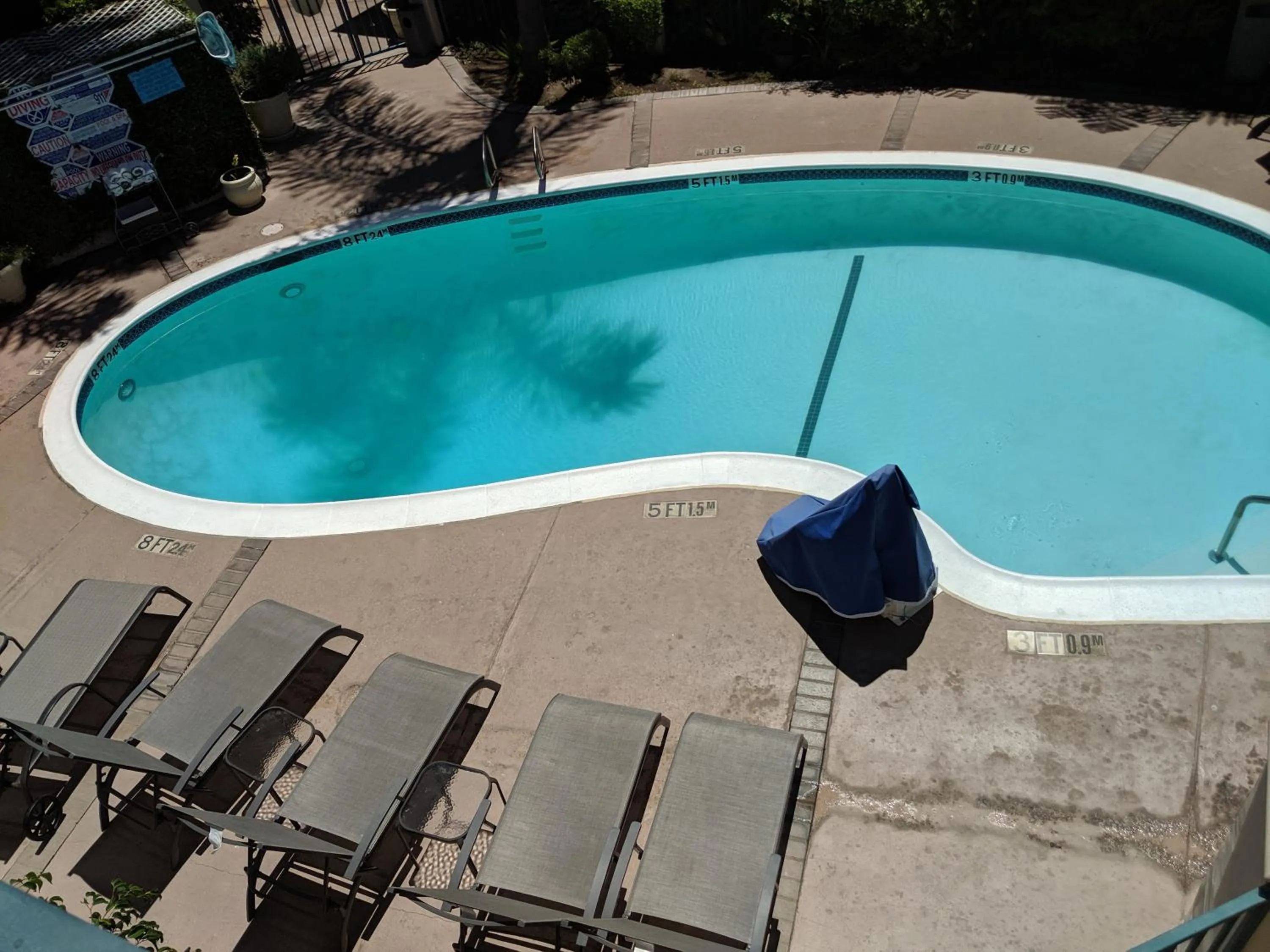 Swimming pool in Tarzana Inn