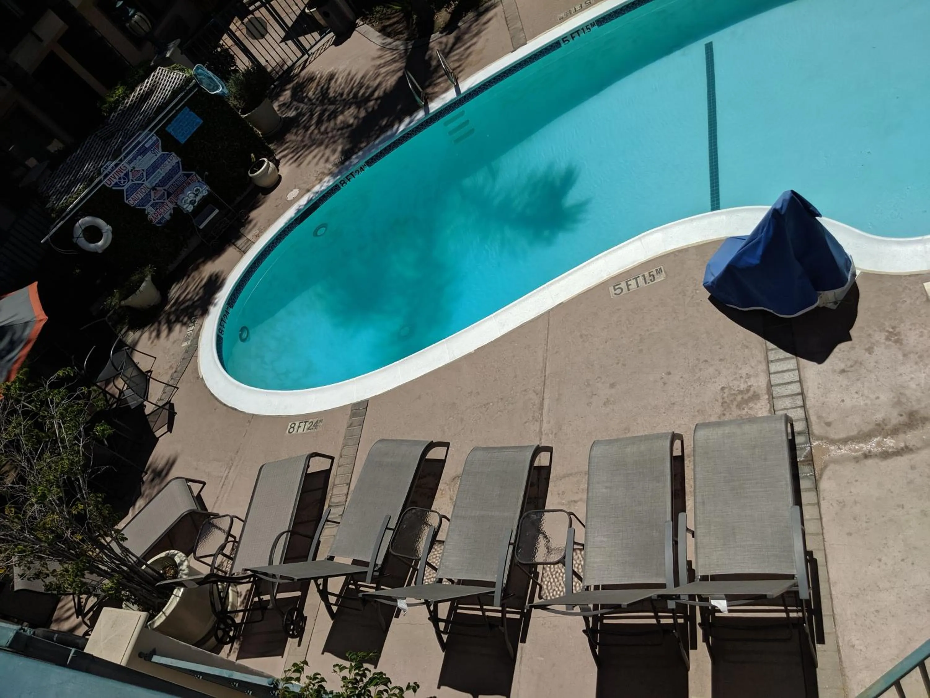 Swimming pool in Tarzana Inn