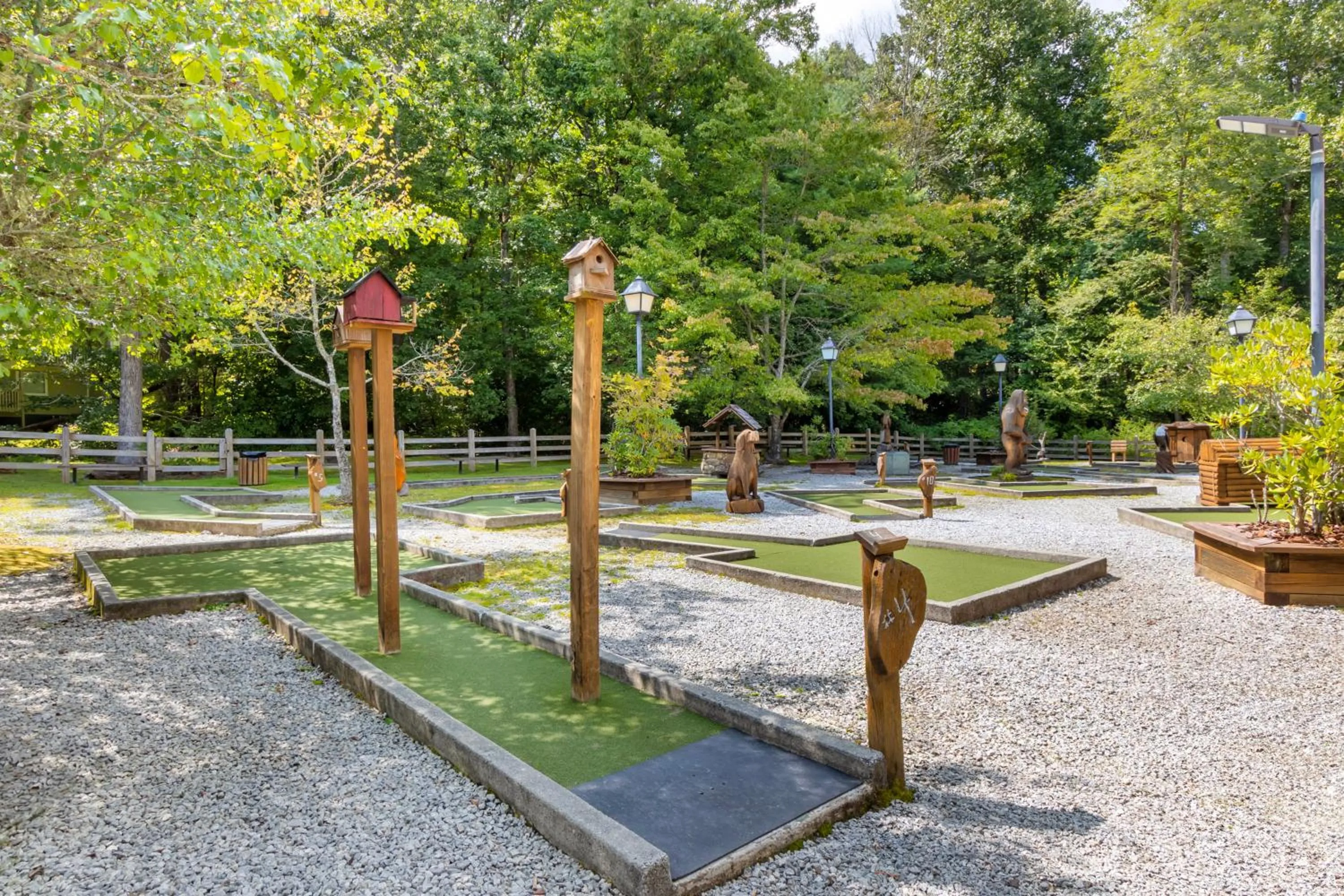 Activities in Fairway Forest