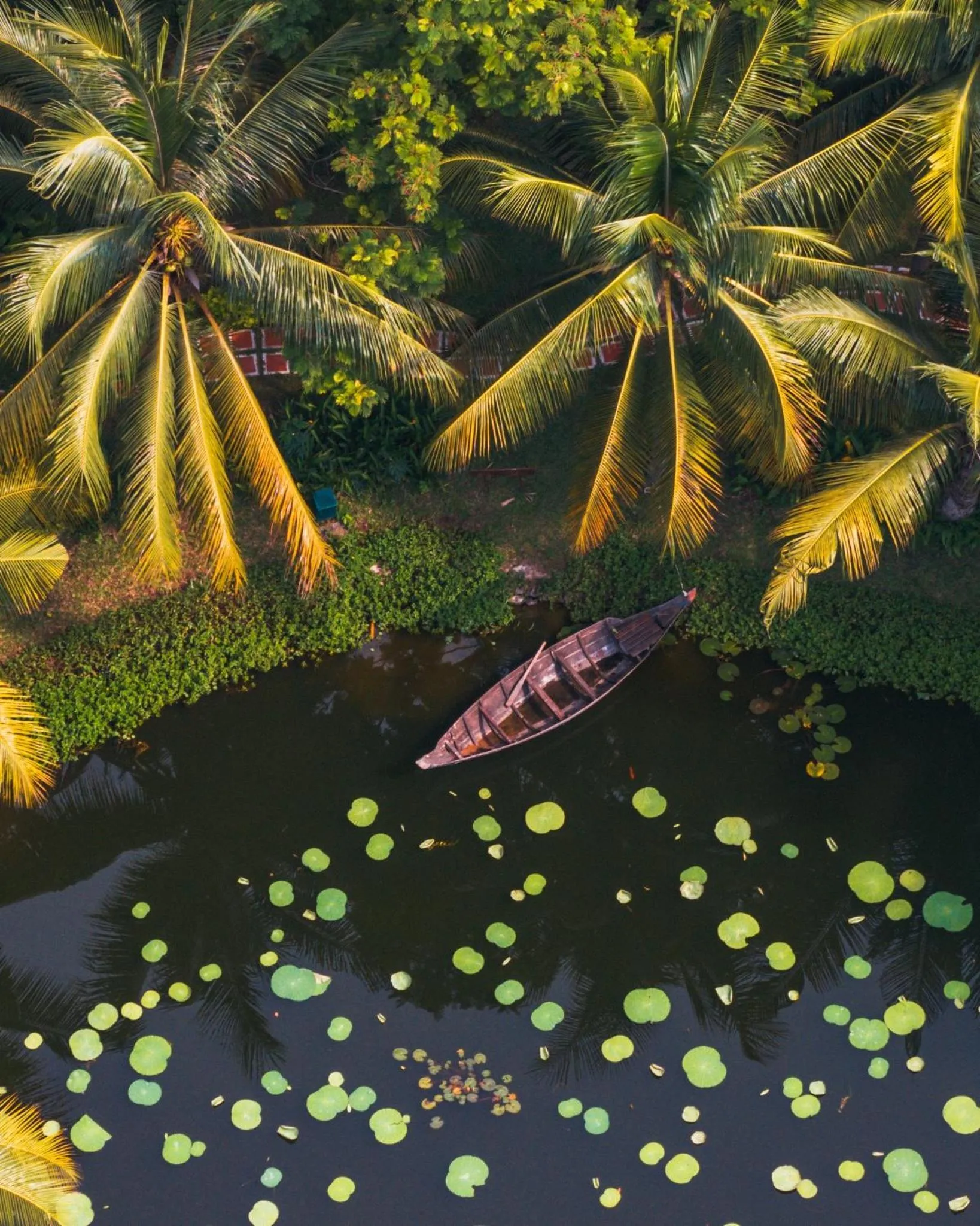 Garden in Sofitel Angkor Phokeethra Golf & Spa Resort