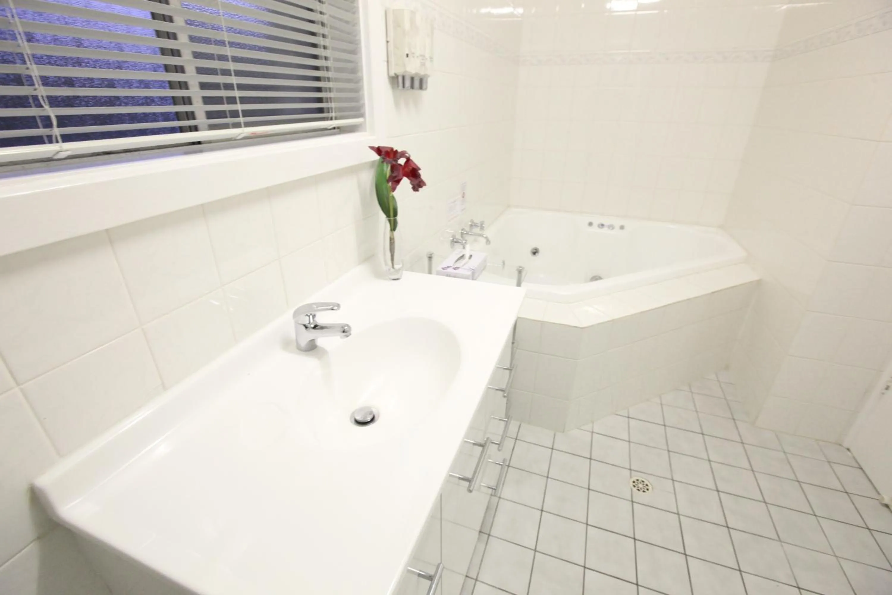 Bathroom in Clare Valley Motel