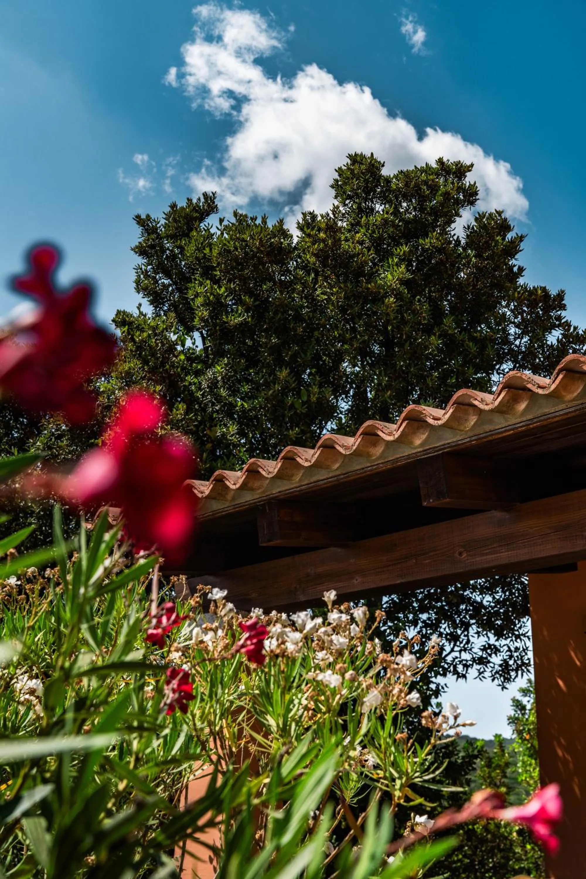 Property building in Casagliana Suite Resort