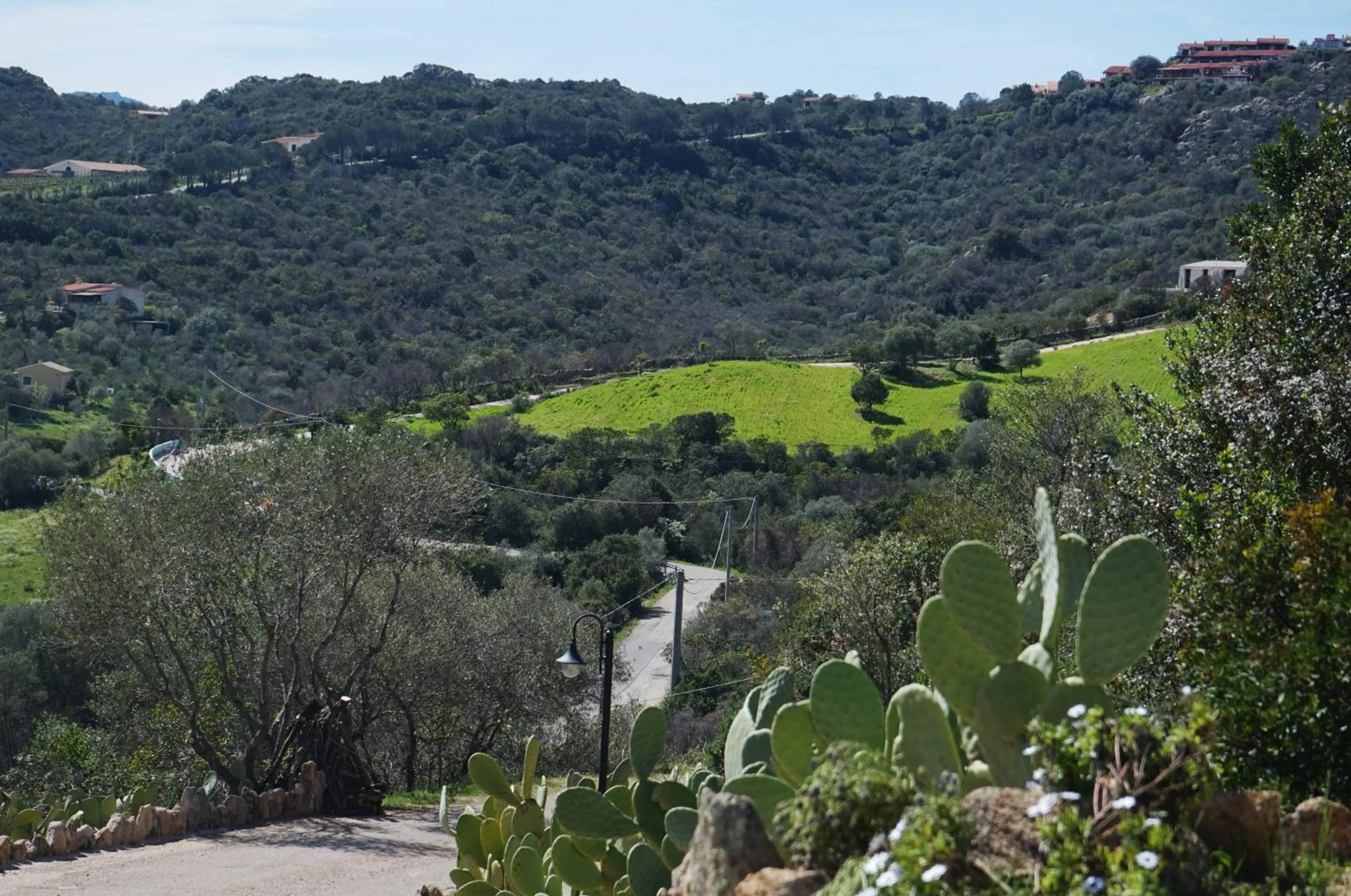Garden in Casagliana Suite Resort