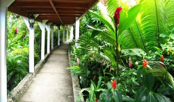 Garden in Five Princes Hotel