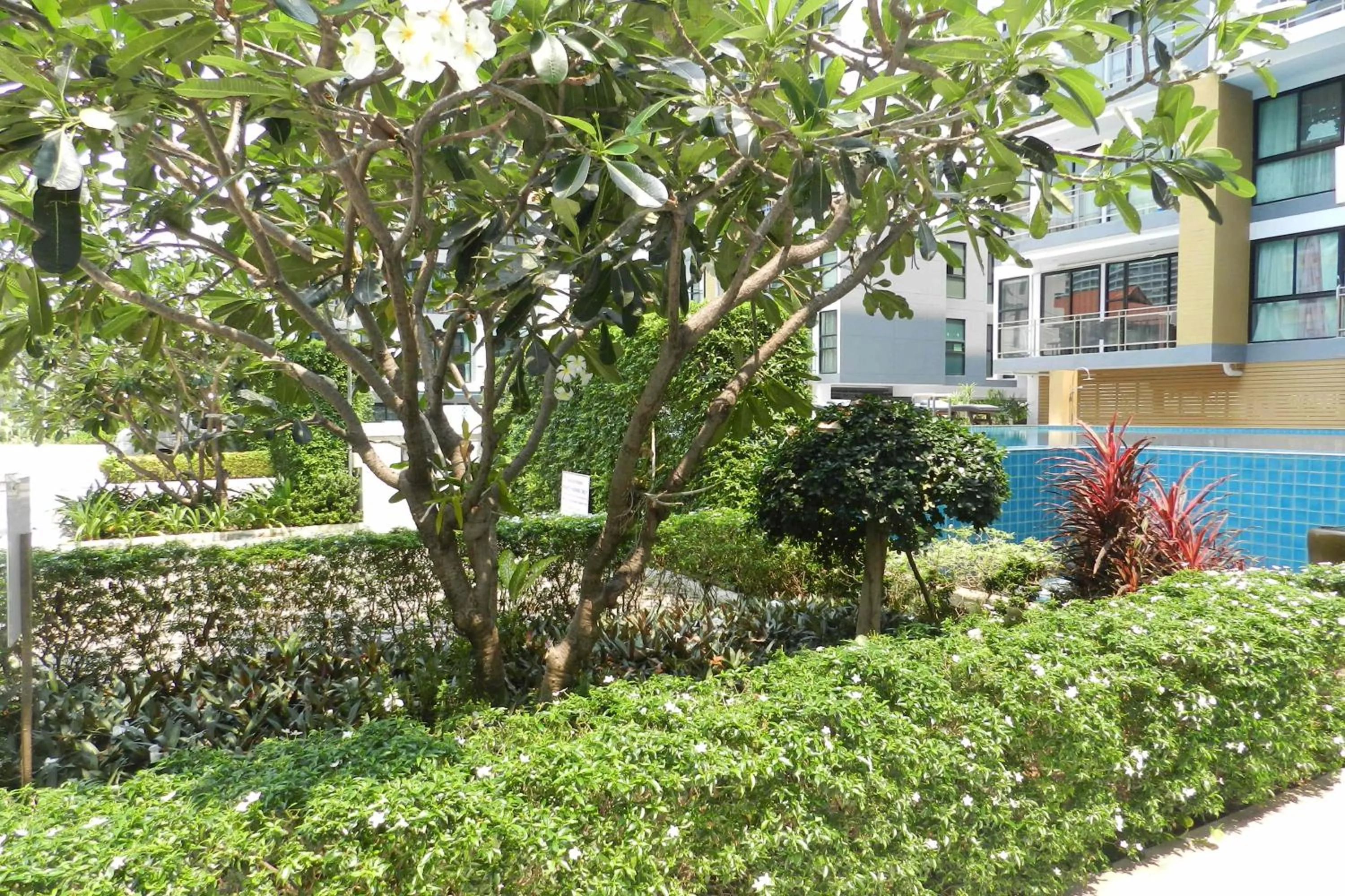 Area and facilities in NEOcondo @ PATTAYA