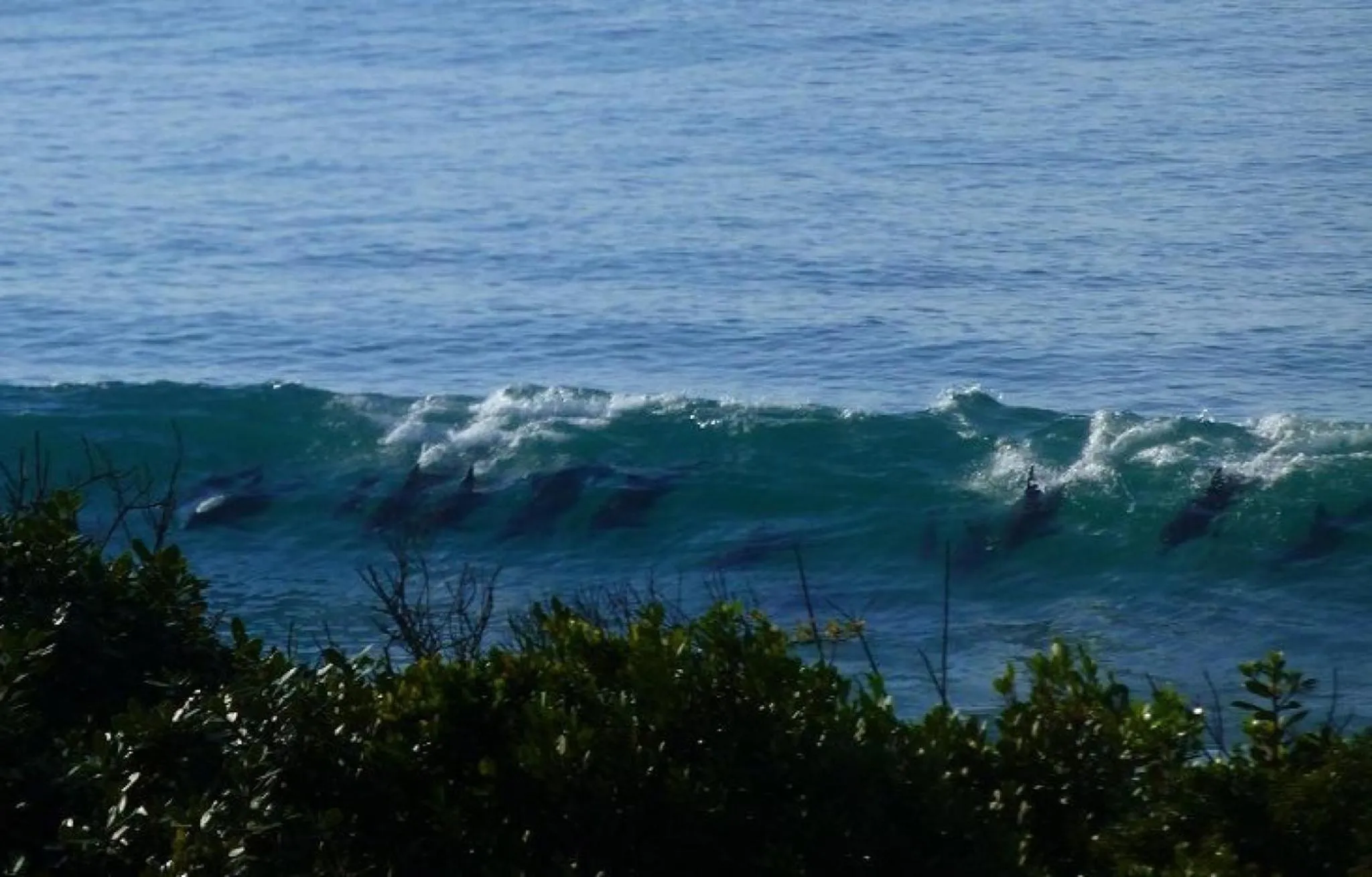 View (from property/room) in Shaloha Guesthouse on Supertubes