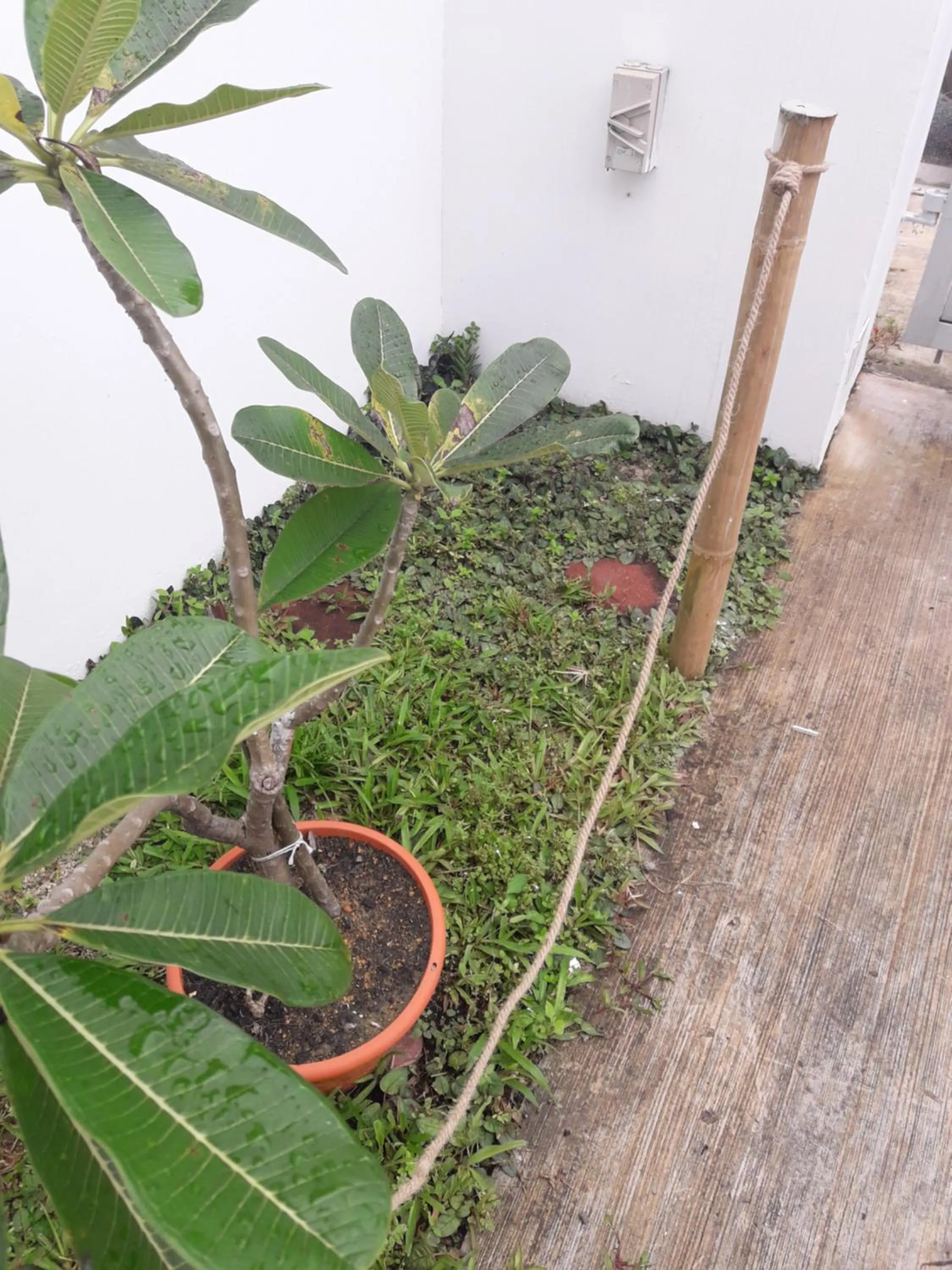 Natural landscape in Tampoi Homestay