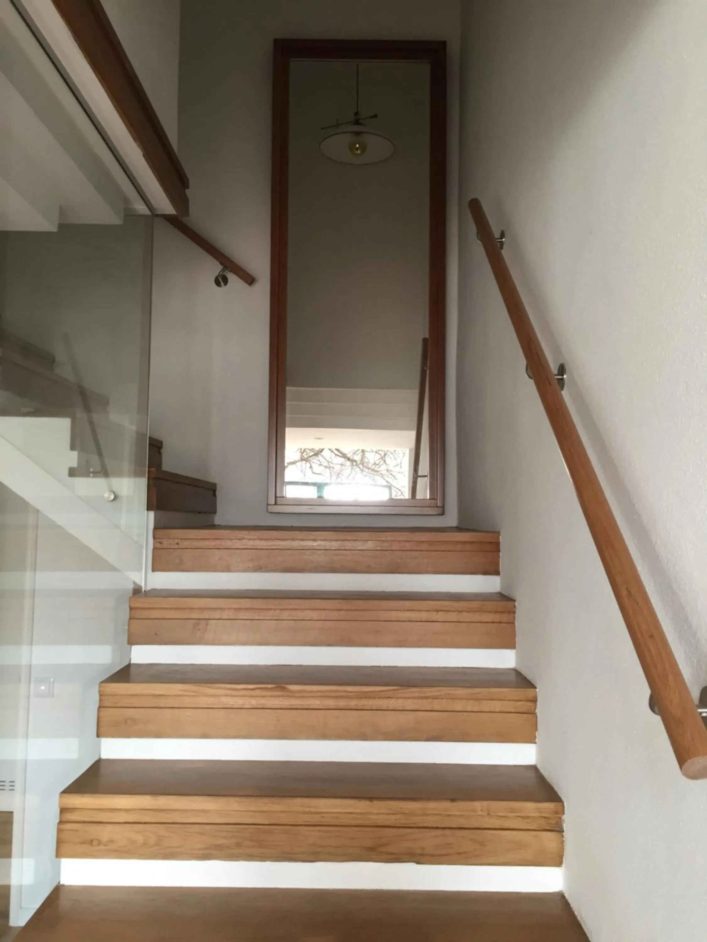 Area and facilities in Sintra Rural Home - Cerrado da Serra