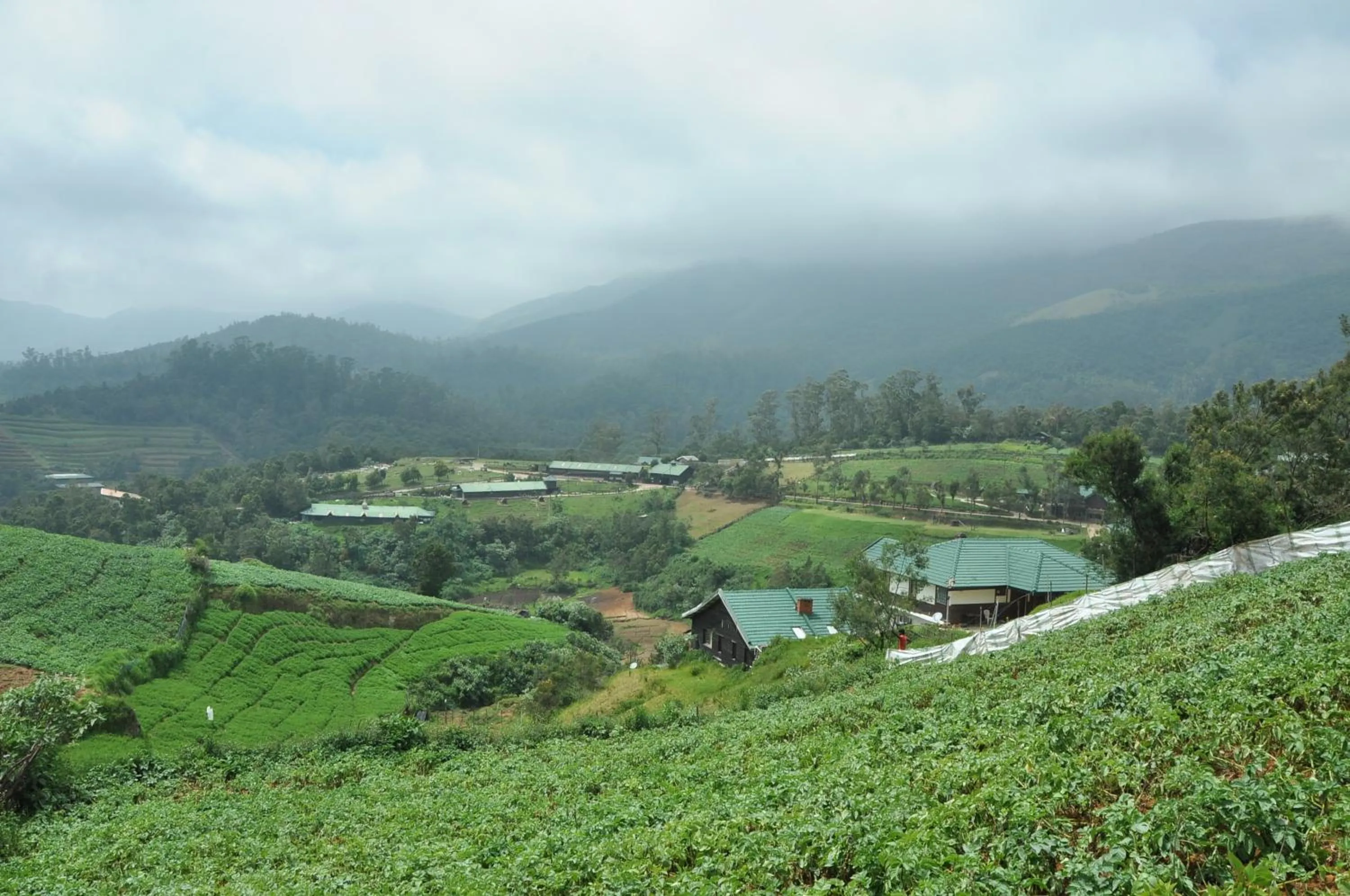 Day in Destiny - The Farm Resort