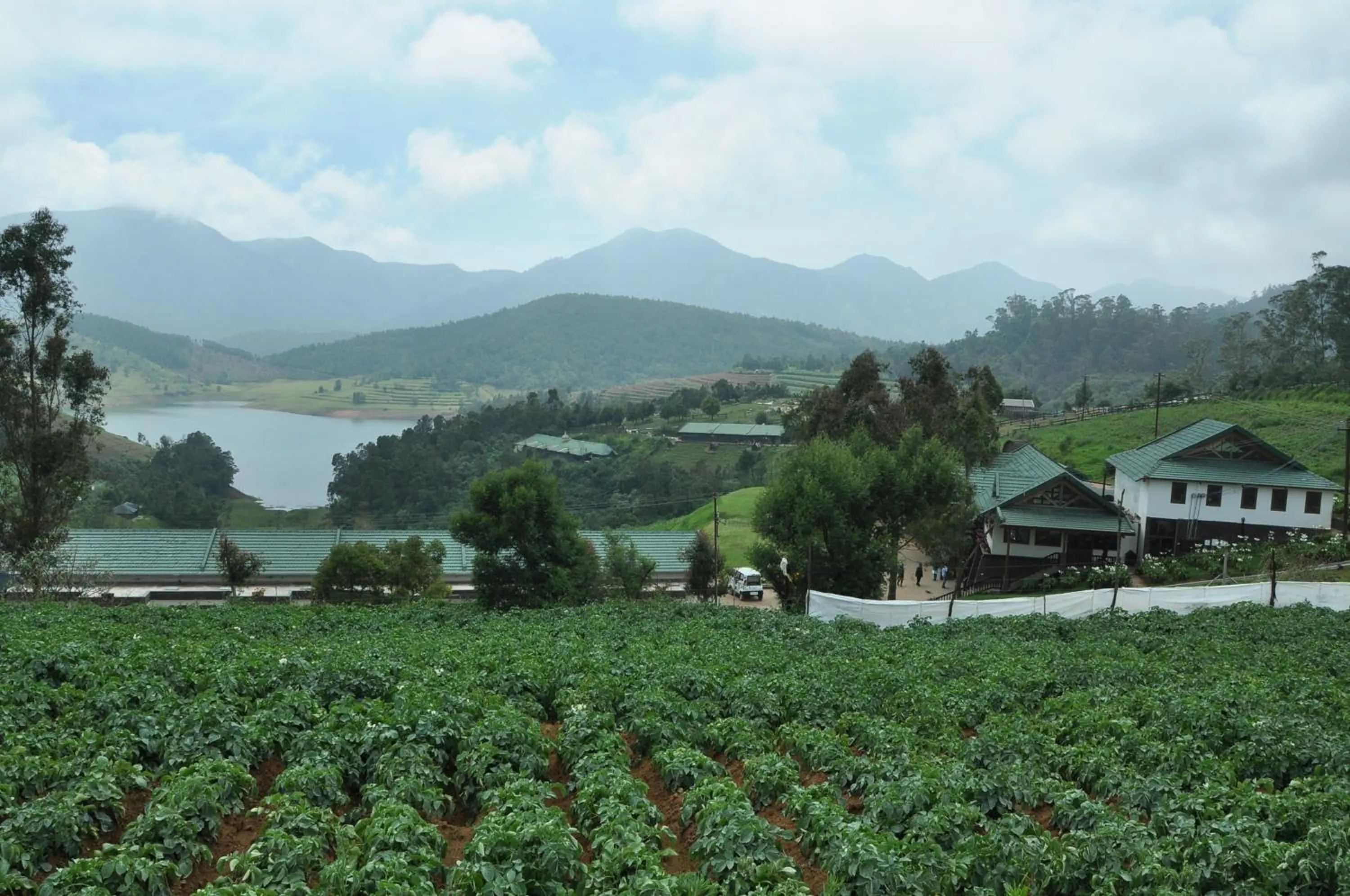 Day in Destiny - The Farm Resort