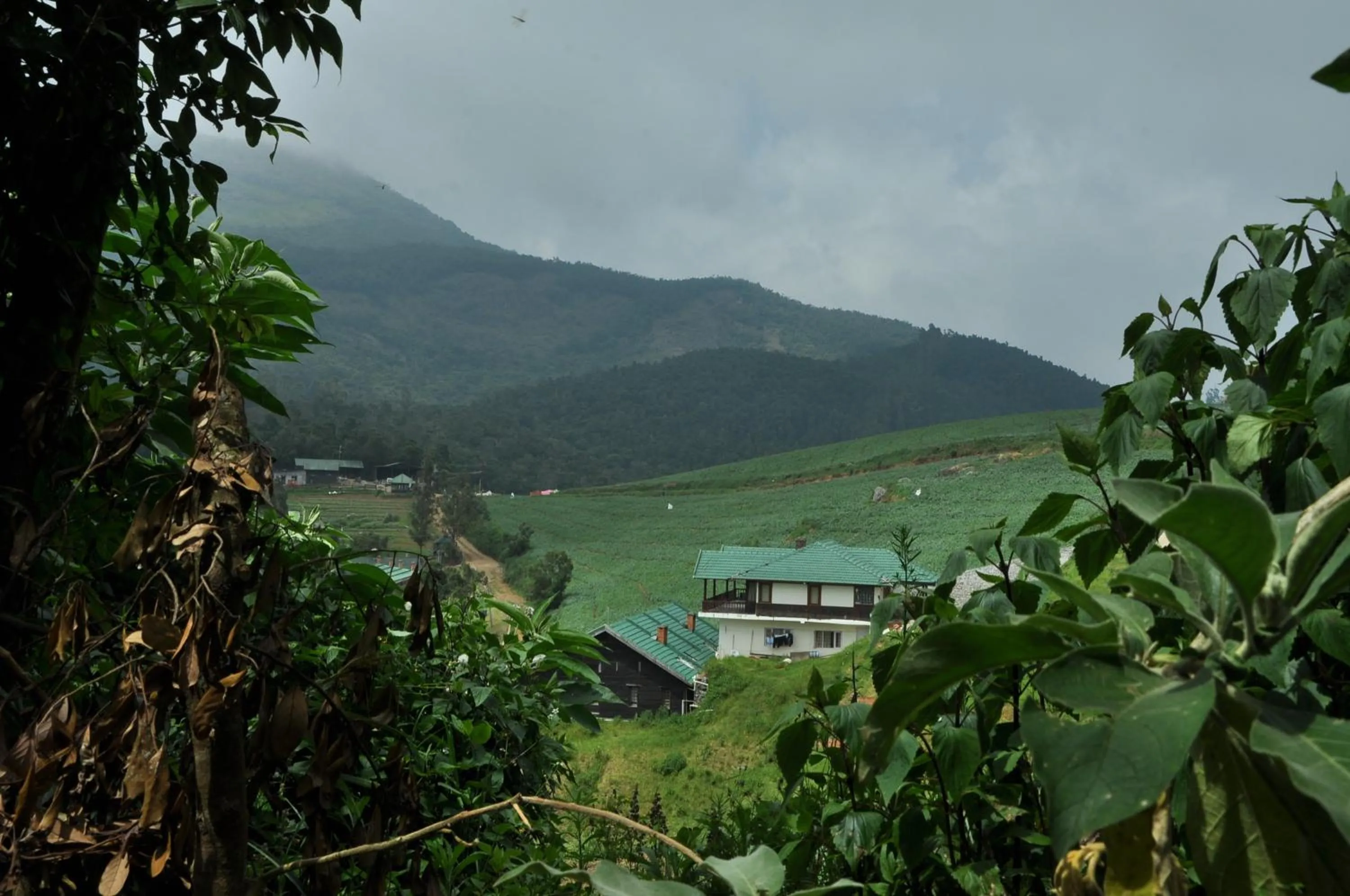 Day in Destiny - The Farm Resort