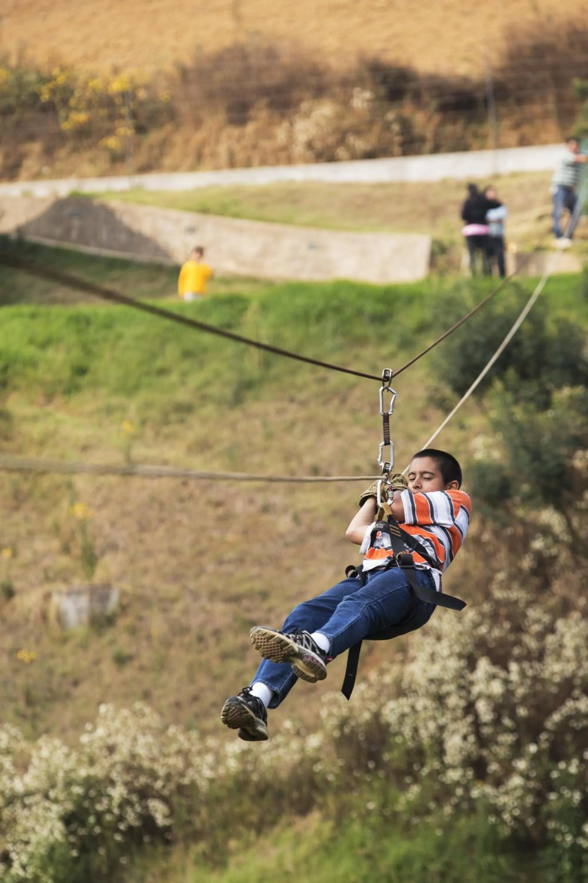 Entertainment in Destiny - The Farm Resort