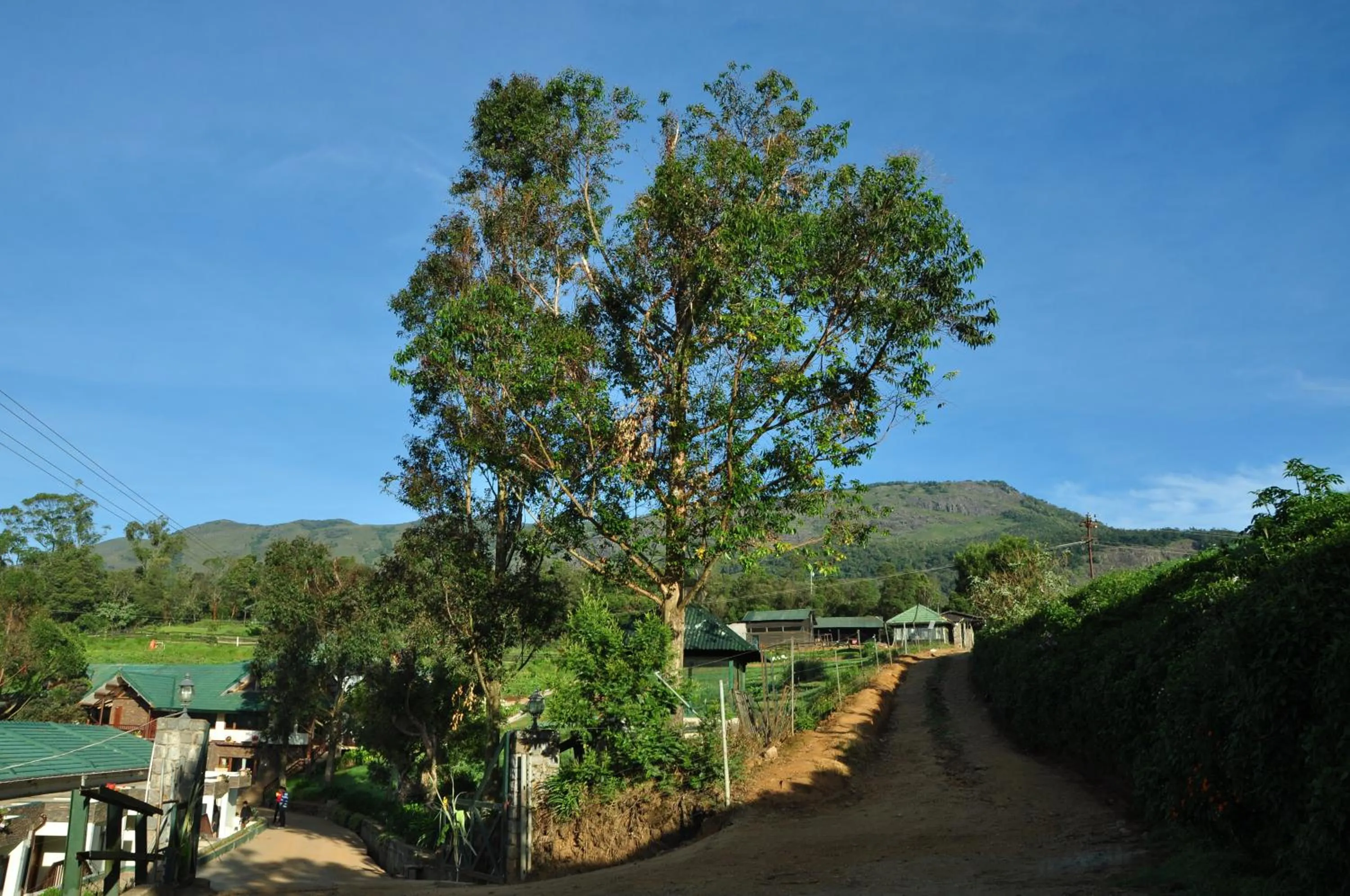 Day in Destiny - The Farm Resort