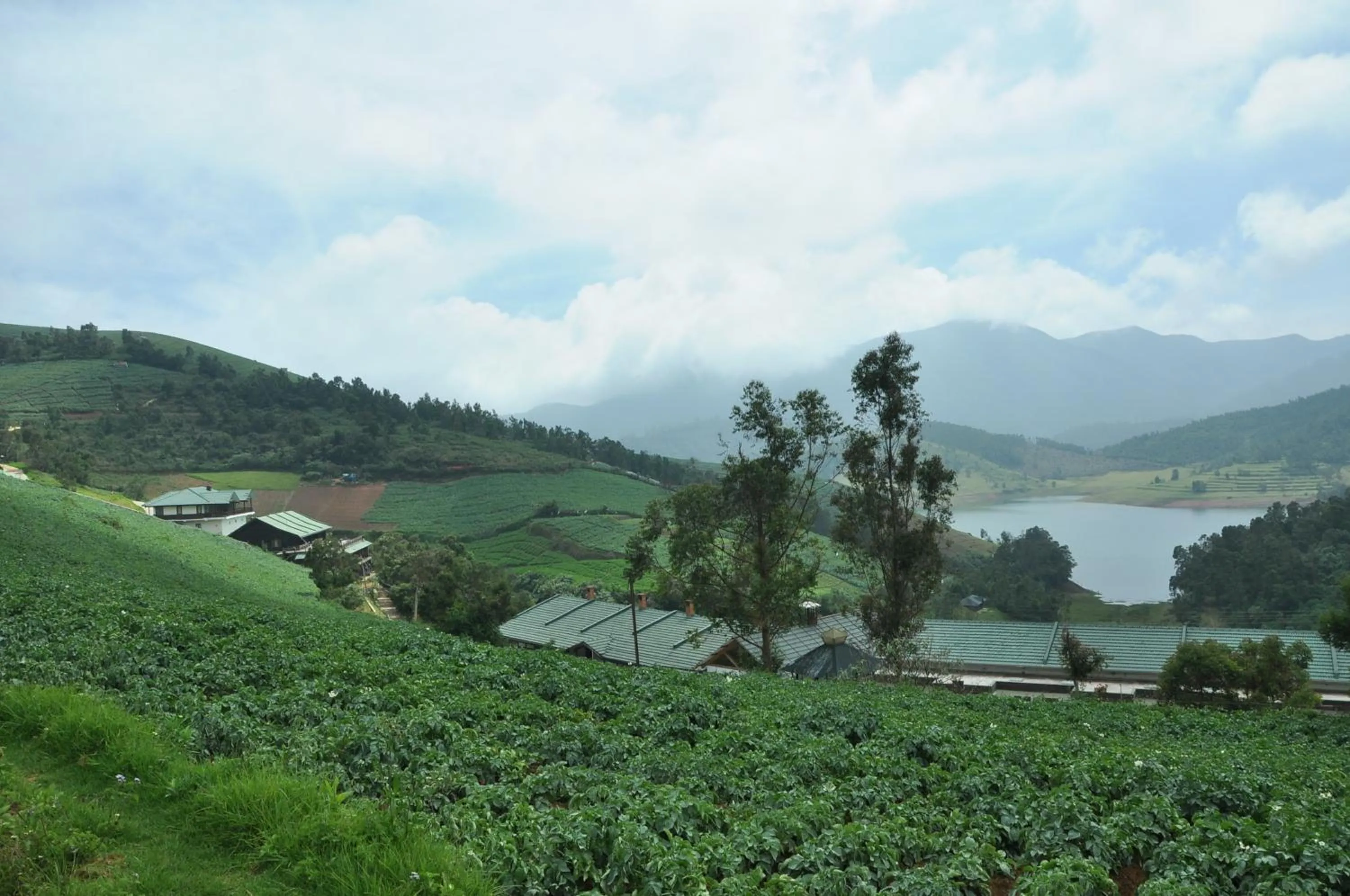 Natural landscape in Destiny - The Farm Resort