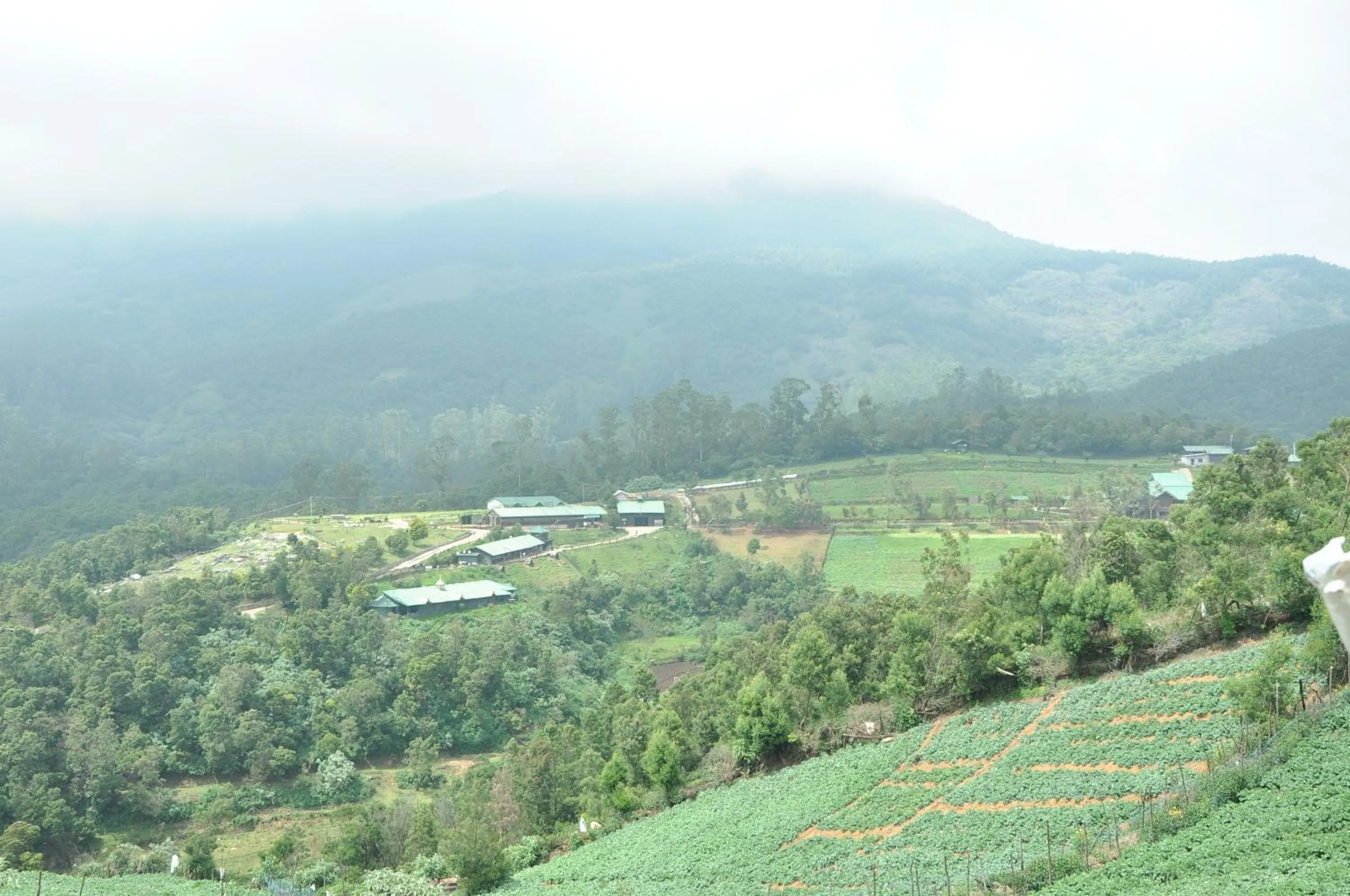 Day in Destiny - The Farm Resort