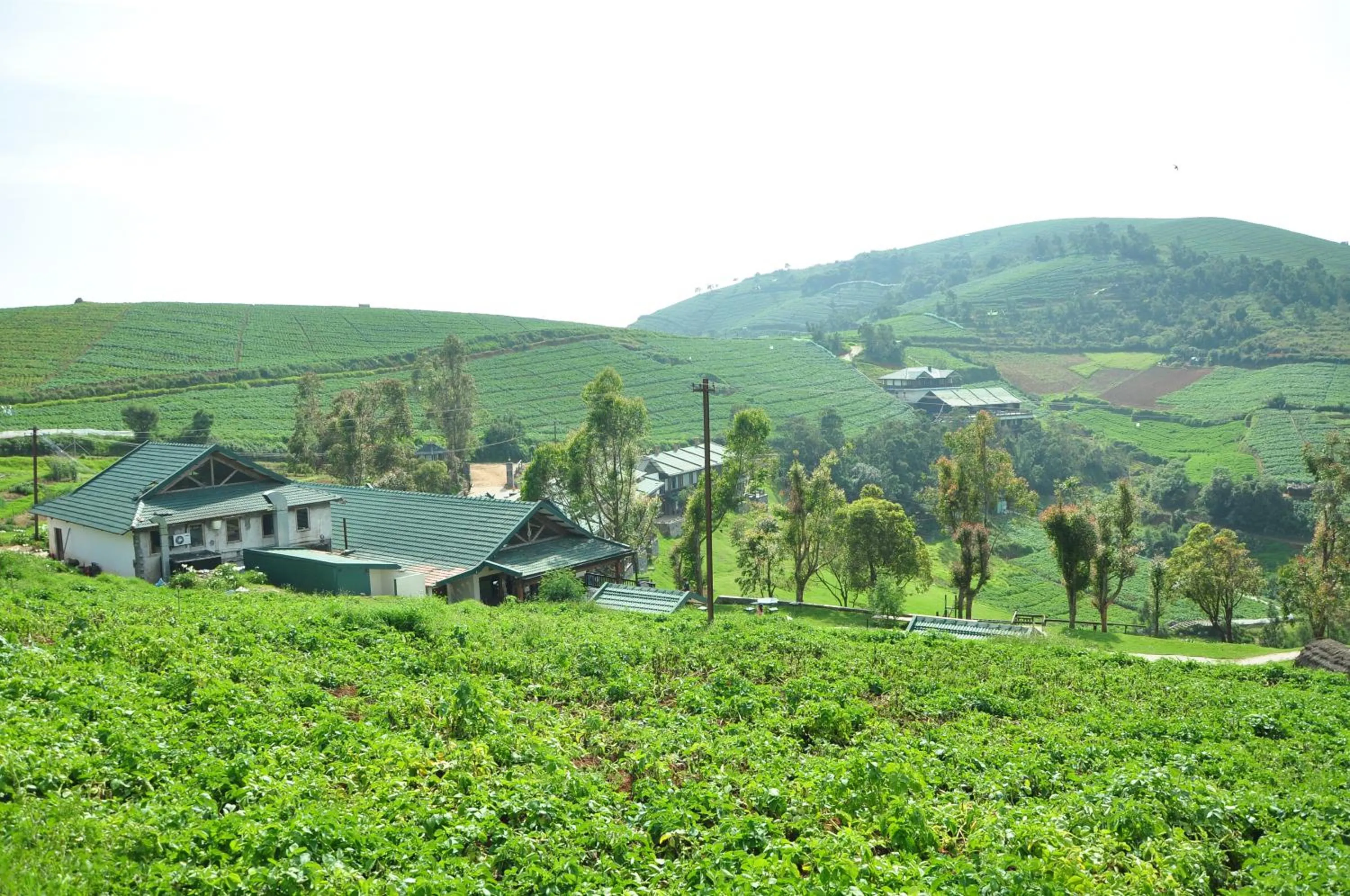 Property building in Destiny - The Farm Resort