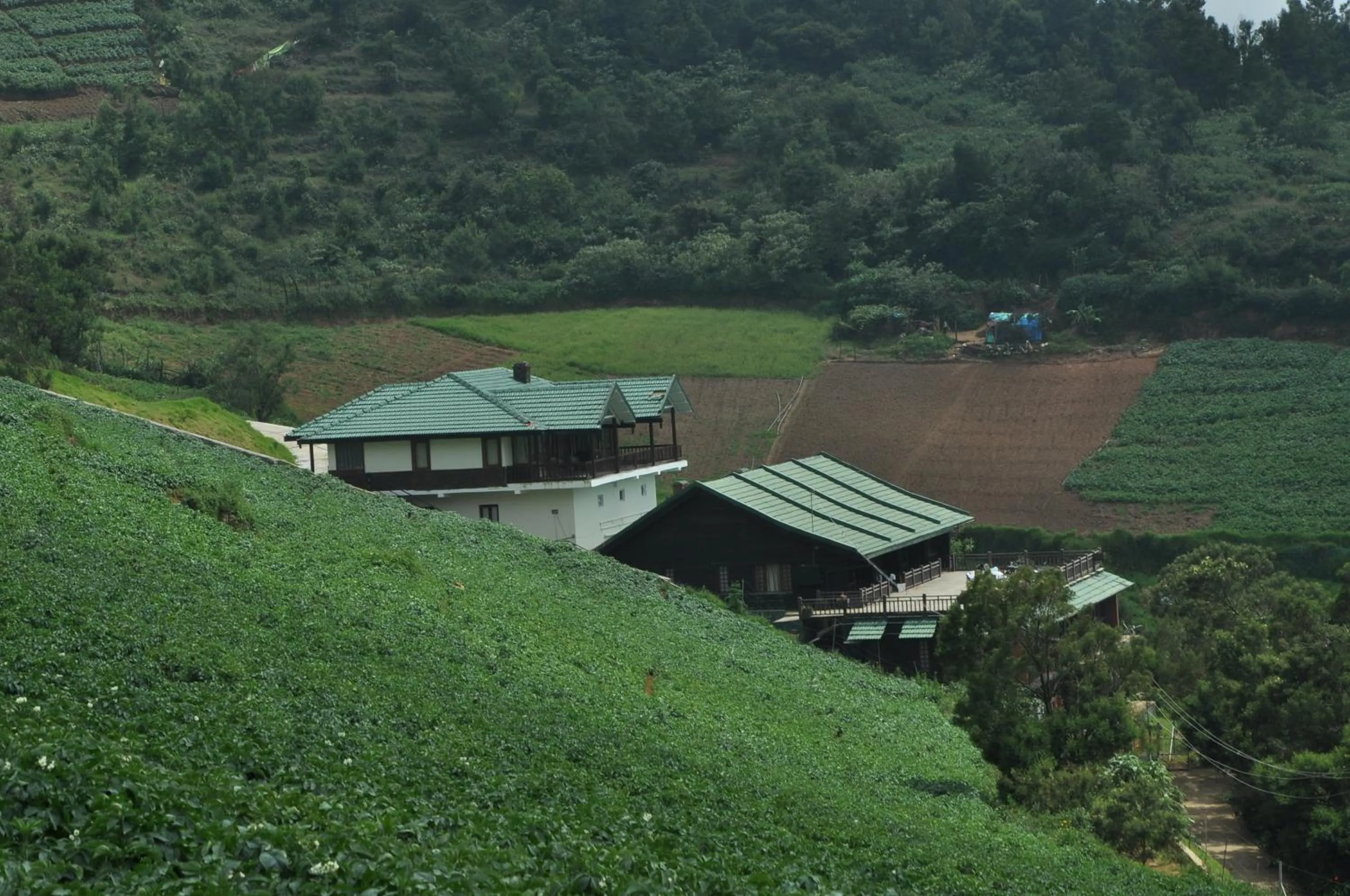 Property building in Destiny - The Farm Resort