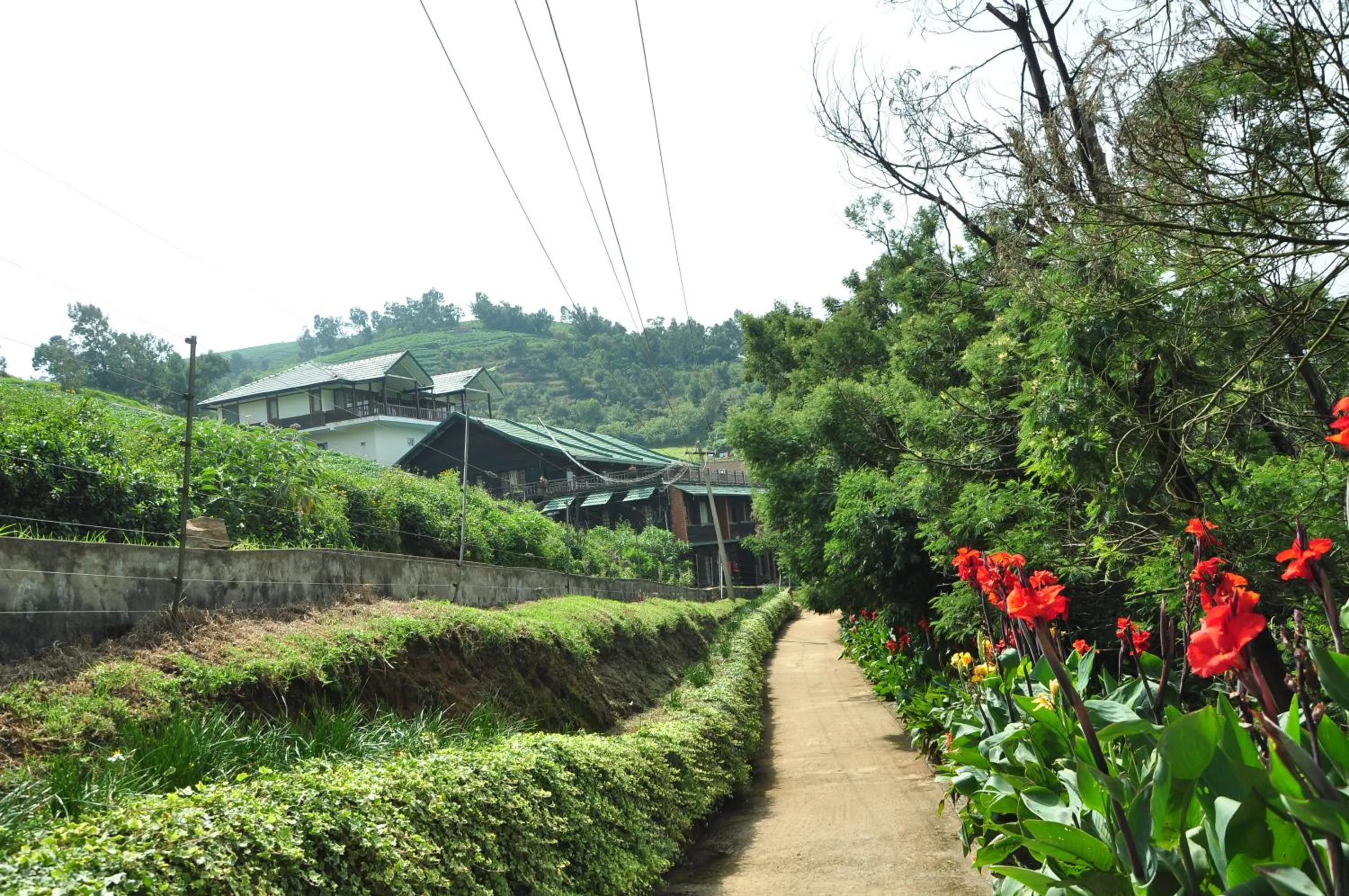 Day in Destiny - The Farm Resort