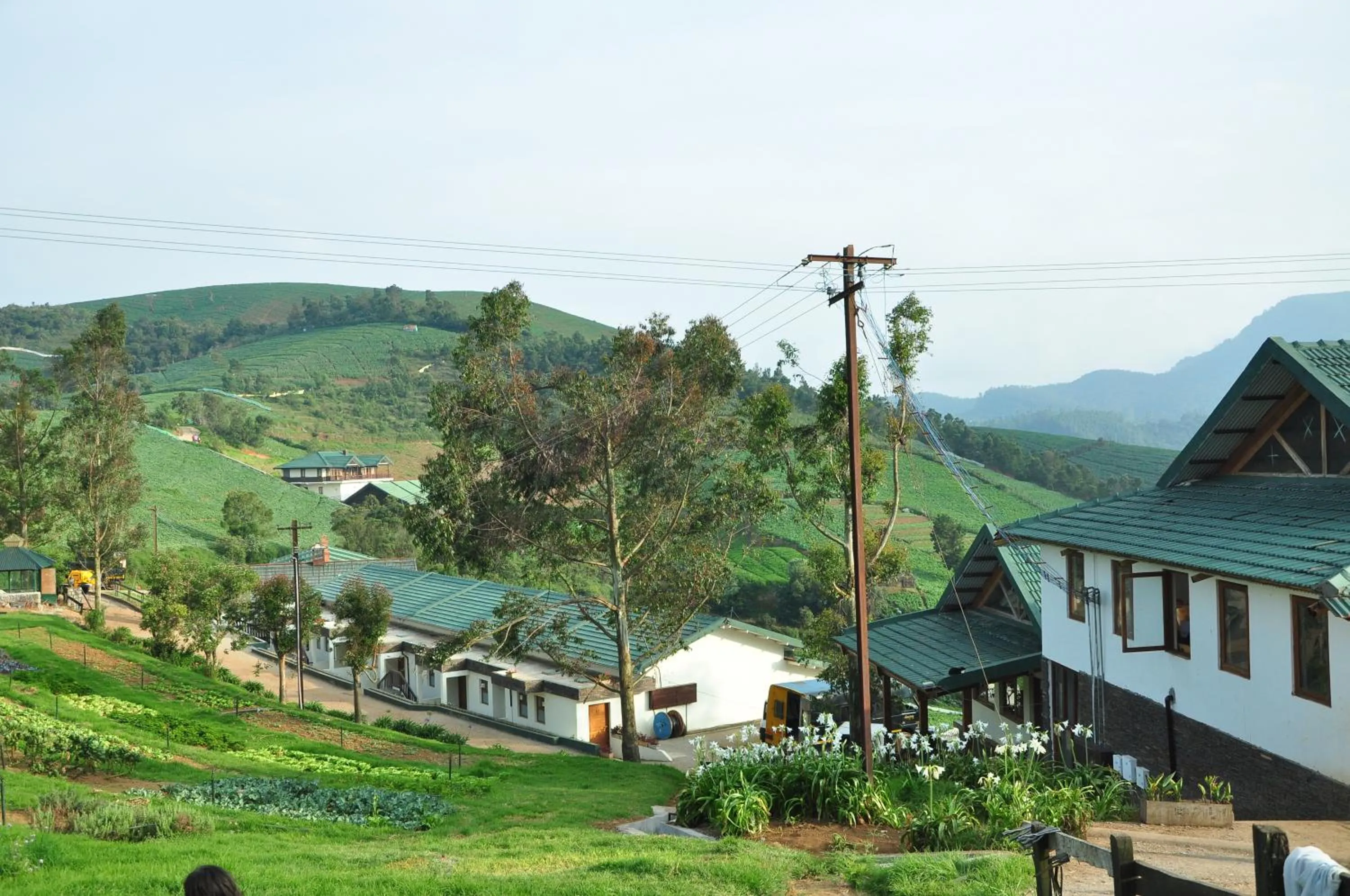 Day in Destiny - The Farm Resort