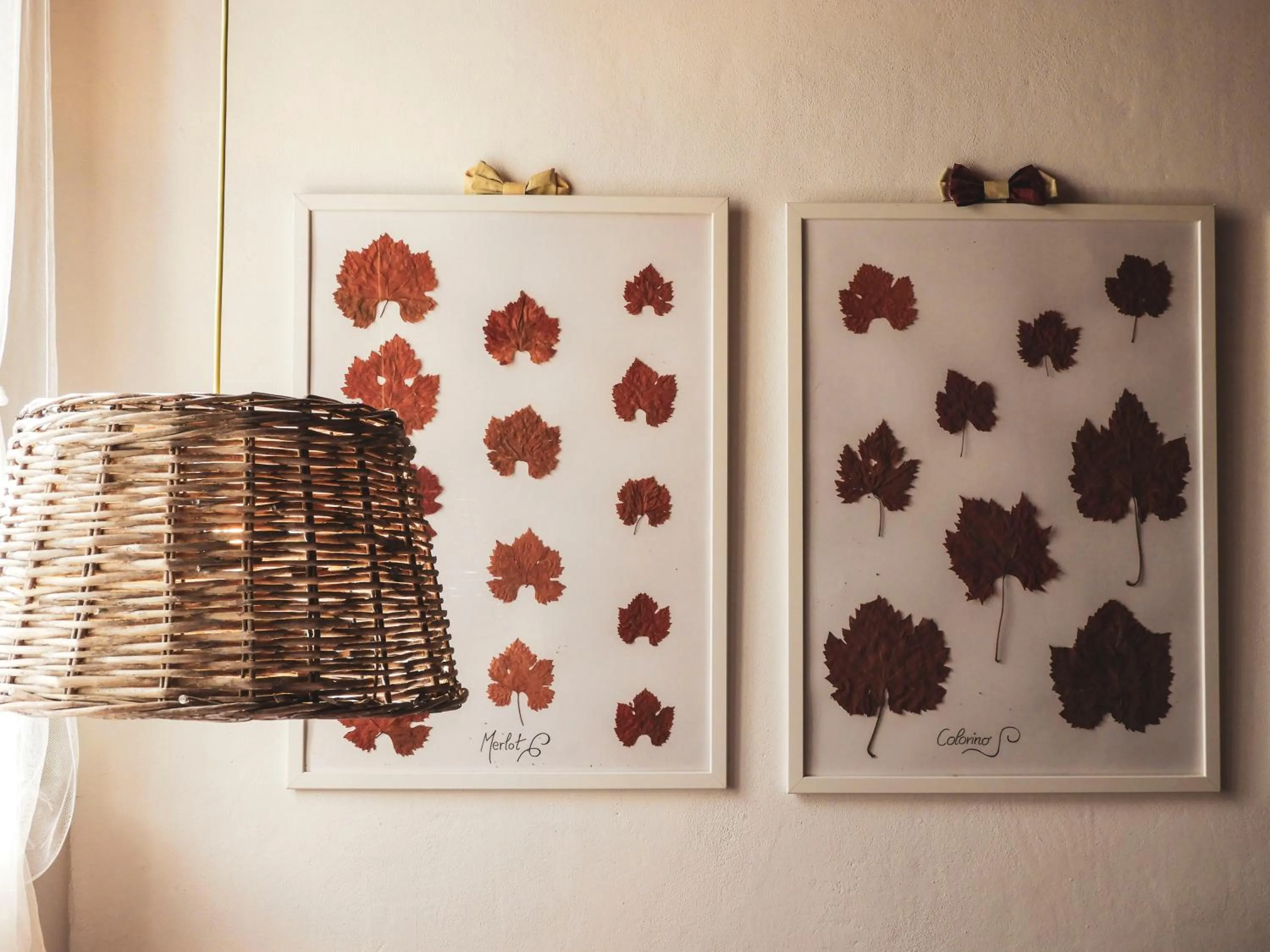 Decorative detail in Tenuta Cortedomina