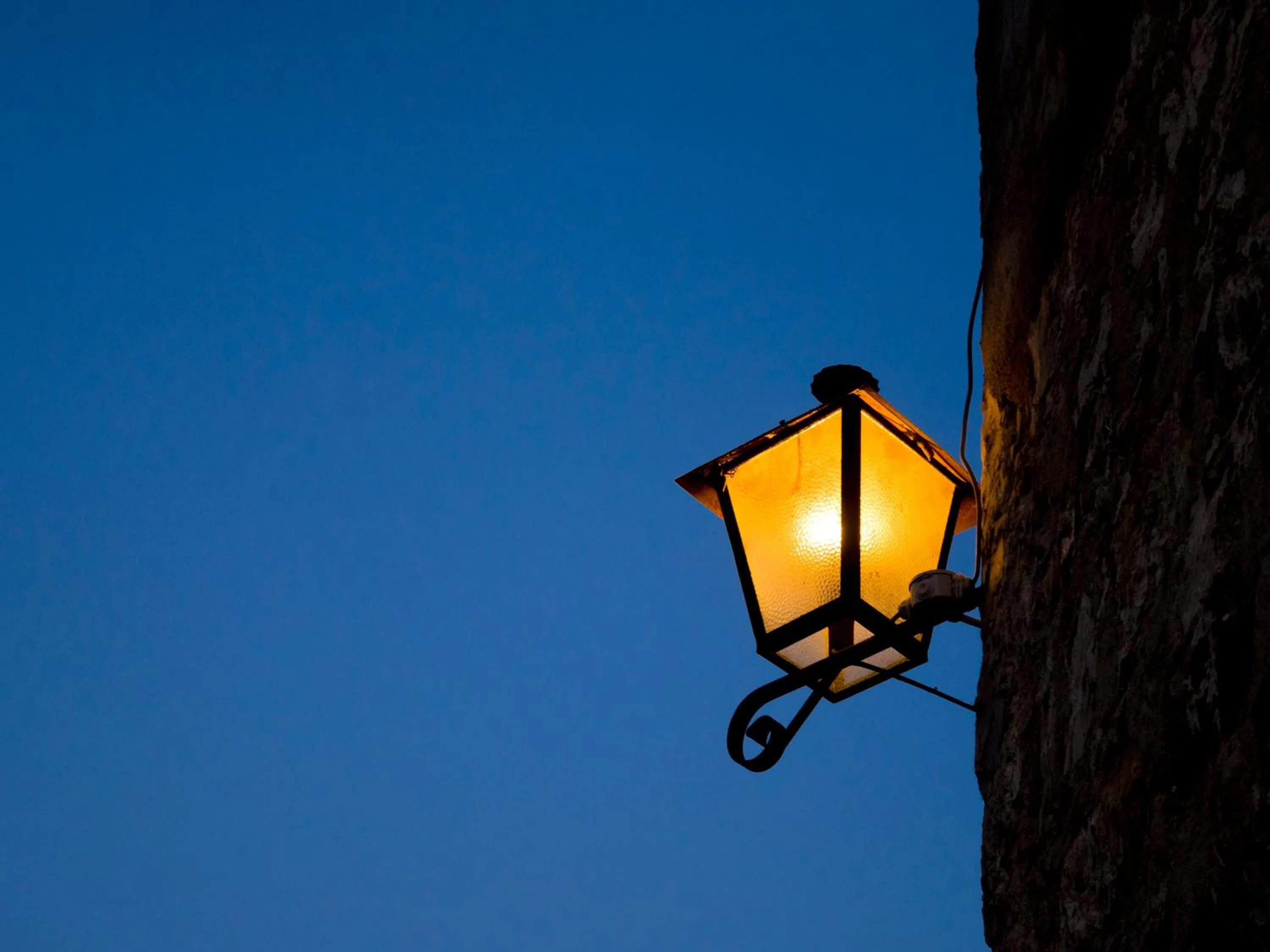 Garden in Tenuta Cortedomina
