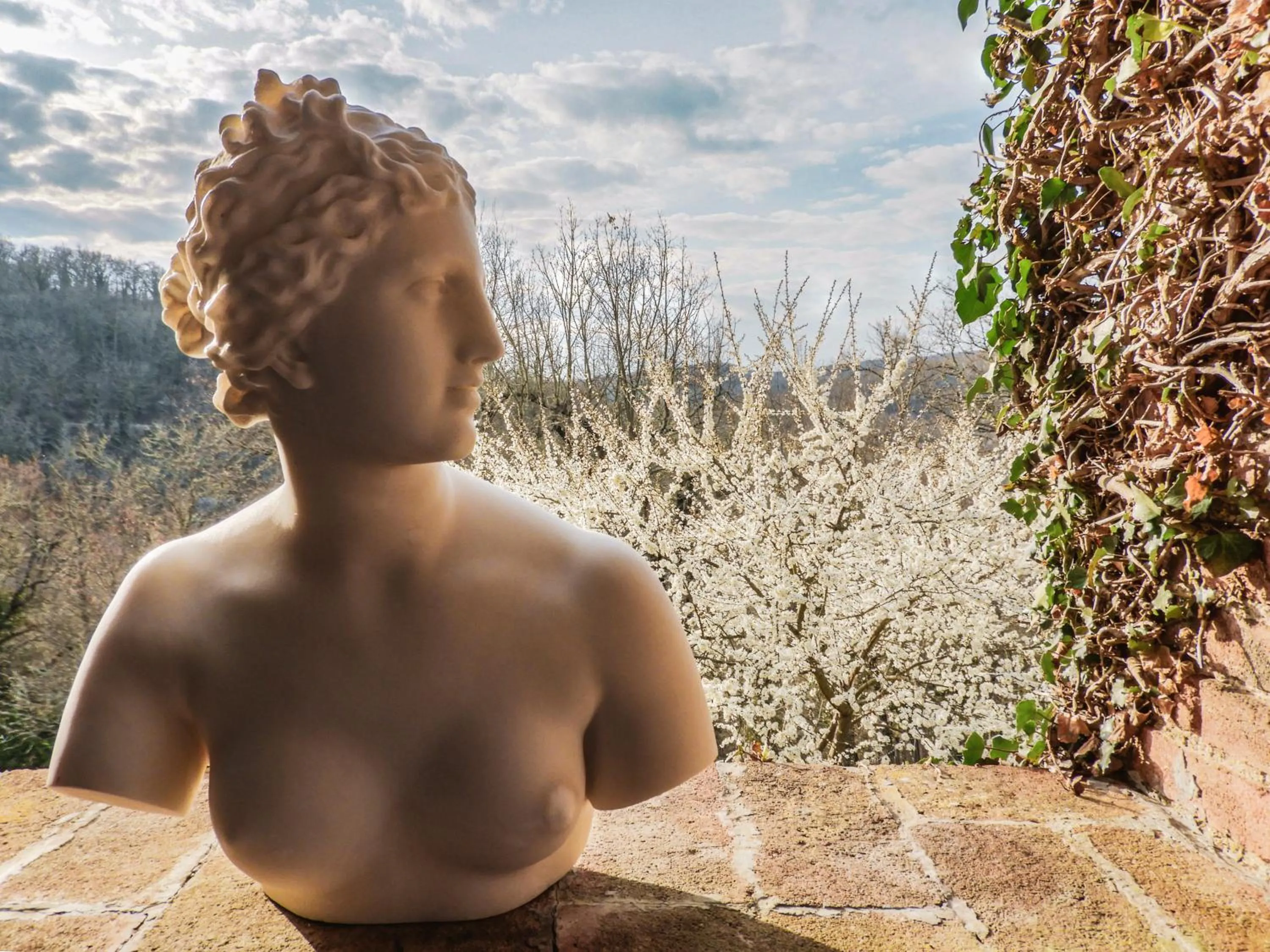 Patio in Tenuta Cortedomina