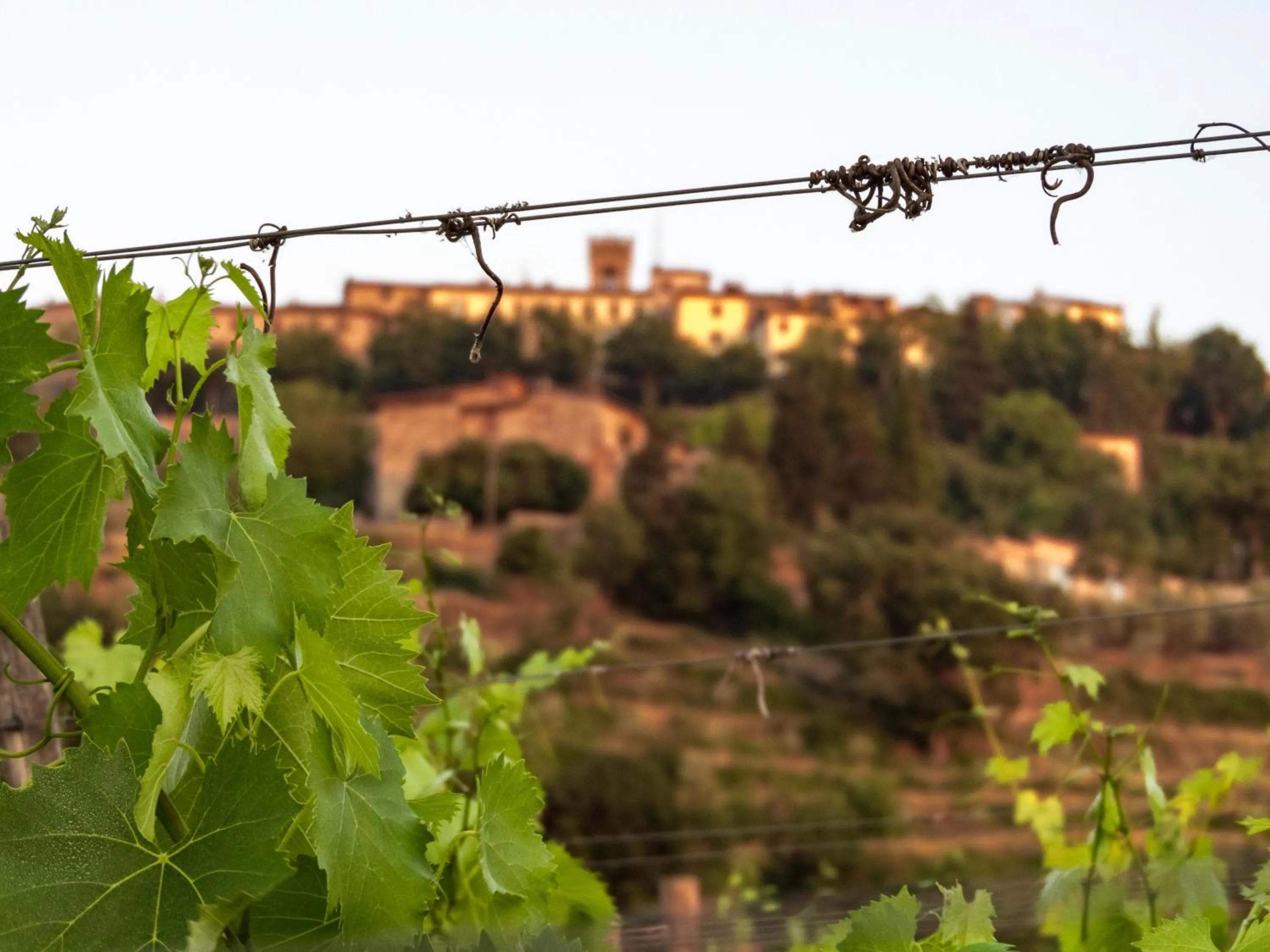Nearby landmark in Tenuta Cortedomina