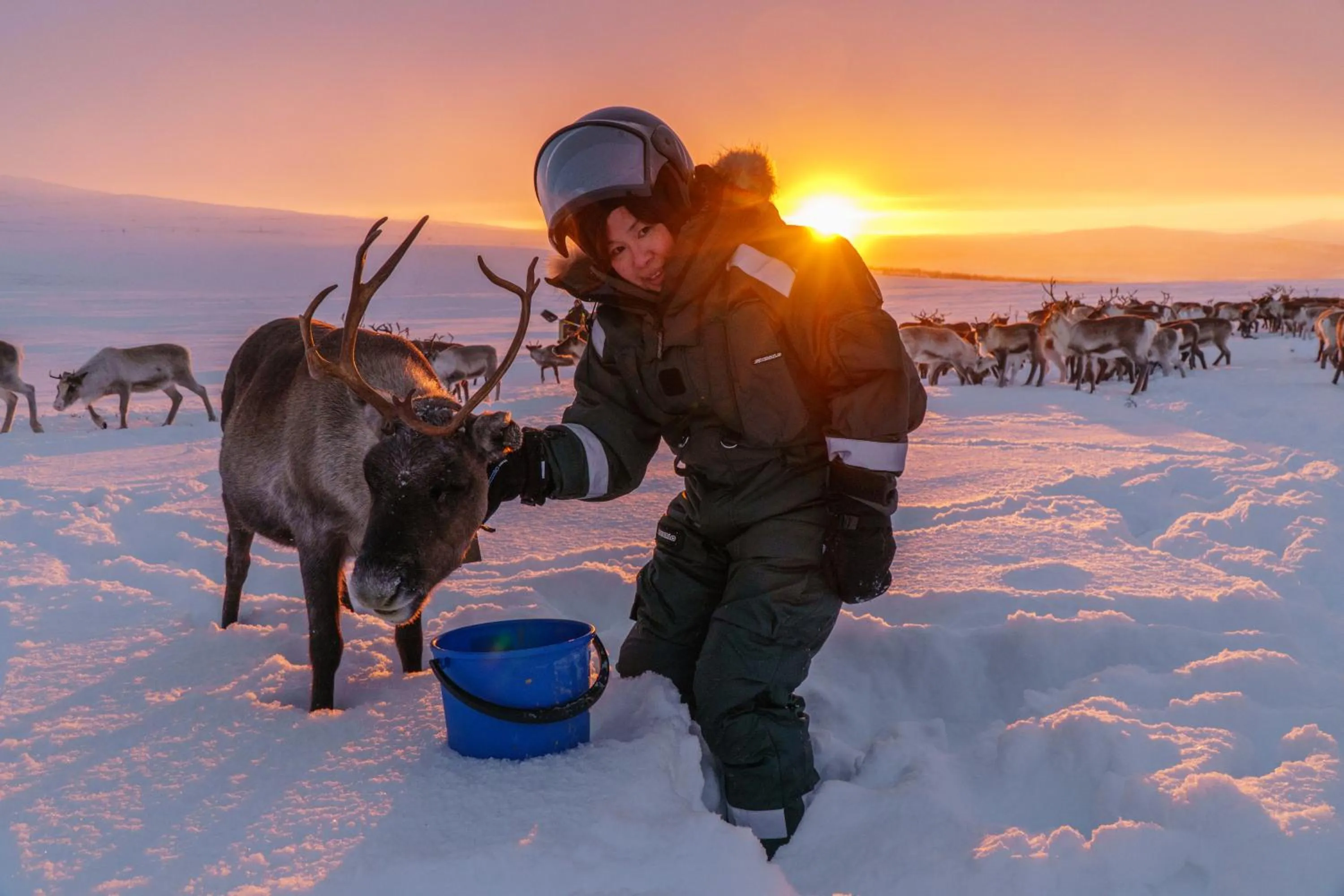 Natural landscape in Arctic Land Adventure Glass Igloos