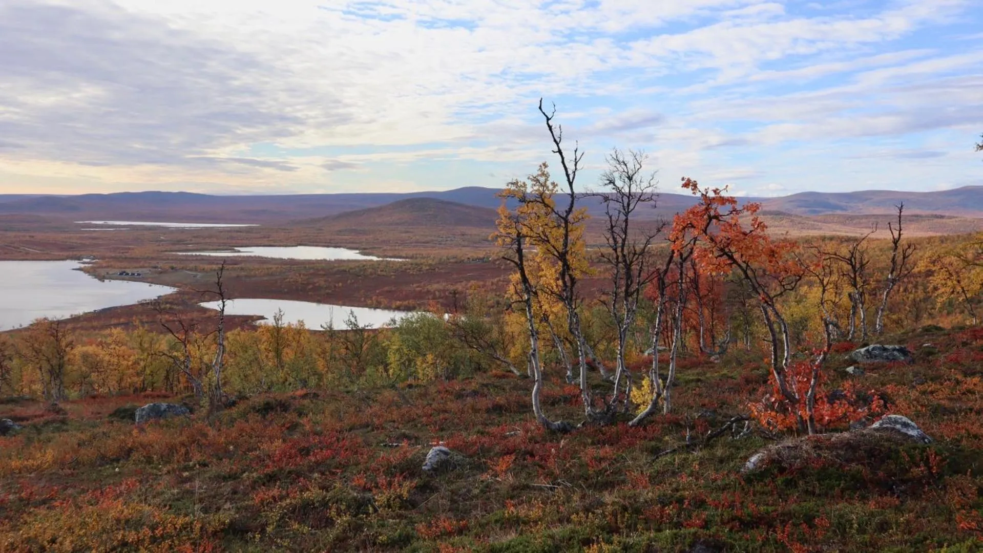 Natural landscape in Arctic Land Adventure Glass Igloos