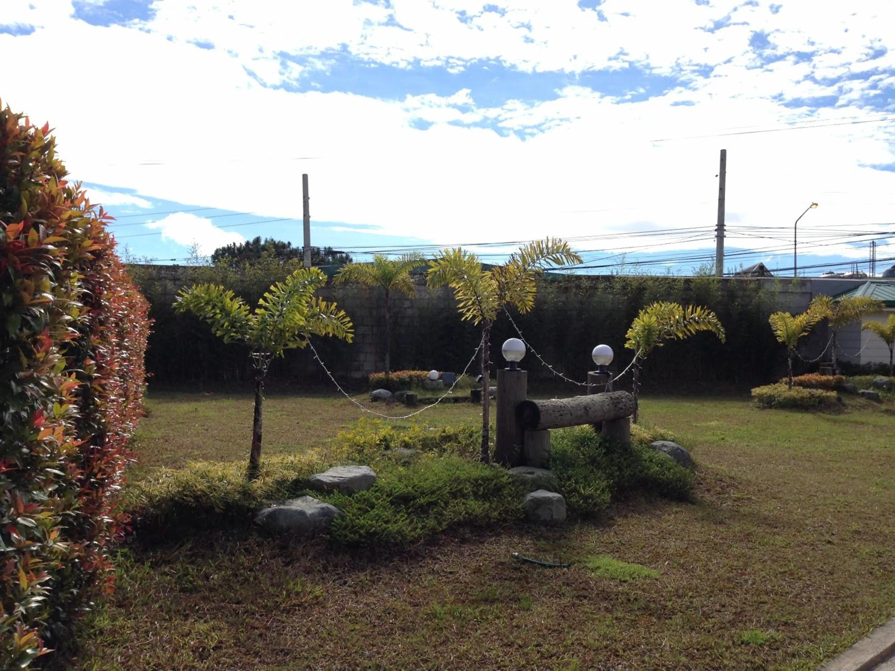 Hollywood Drive-In Hotel