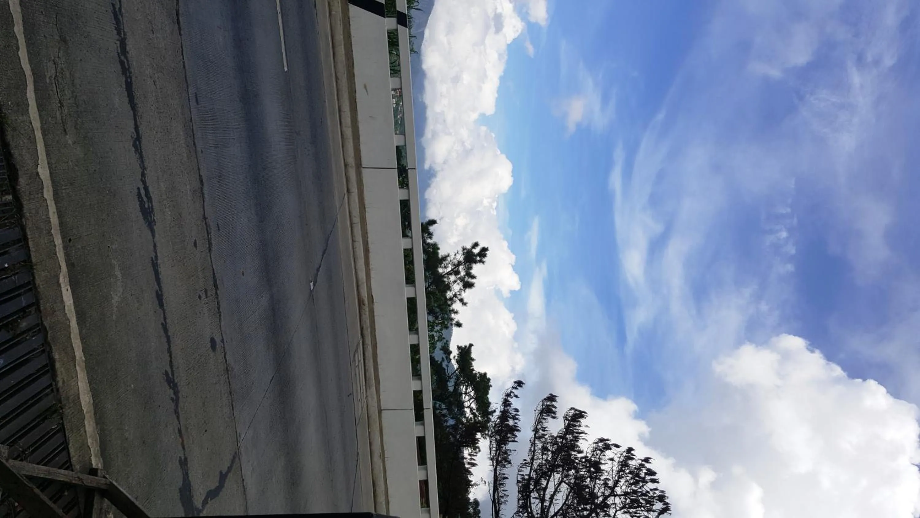 Hollywood Drive-In Hotel