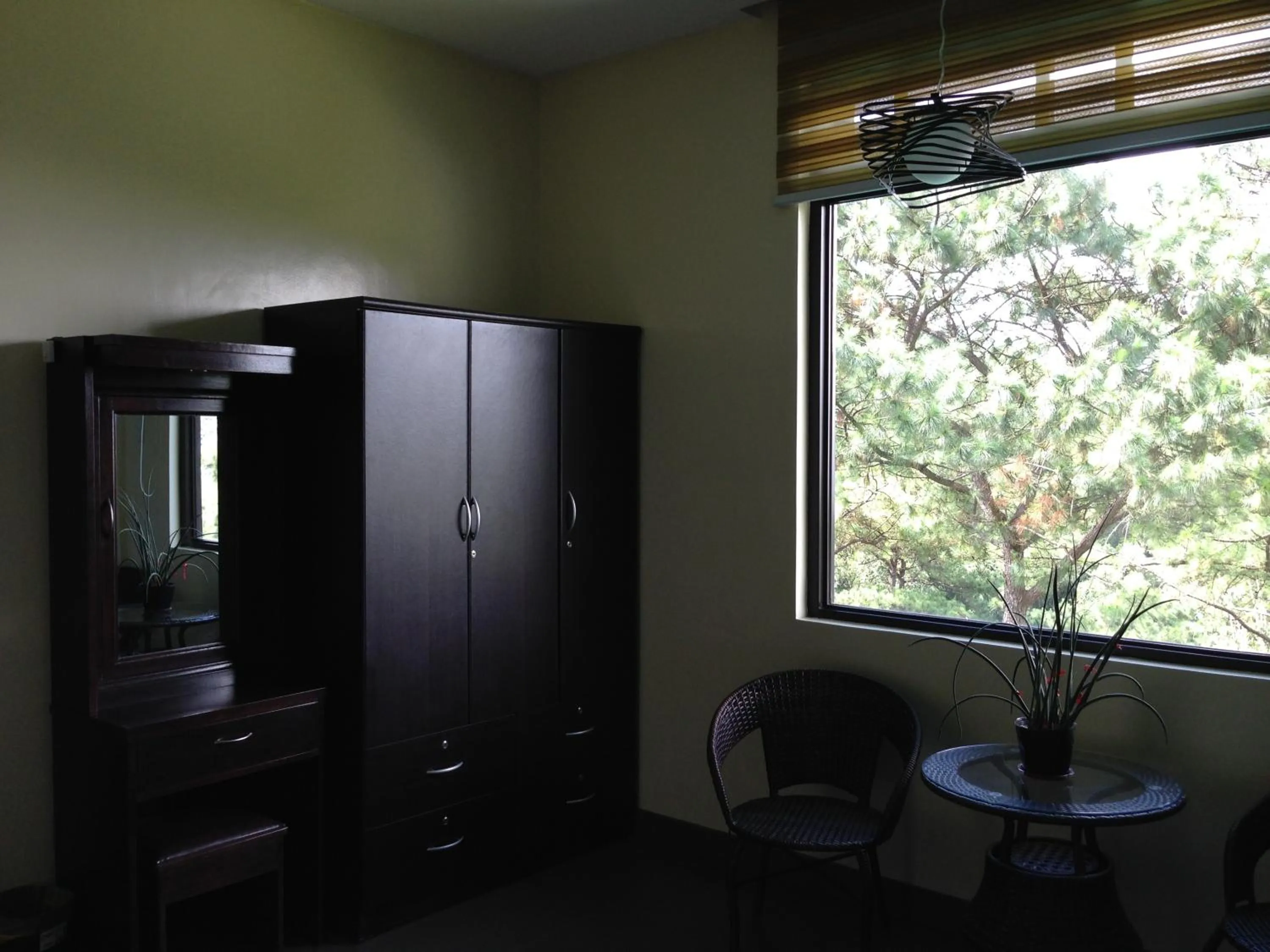 Hollywood Drive-In Hotel