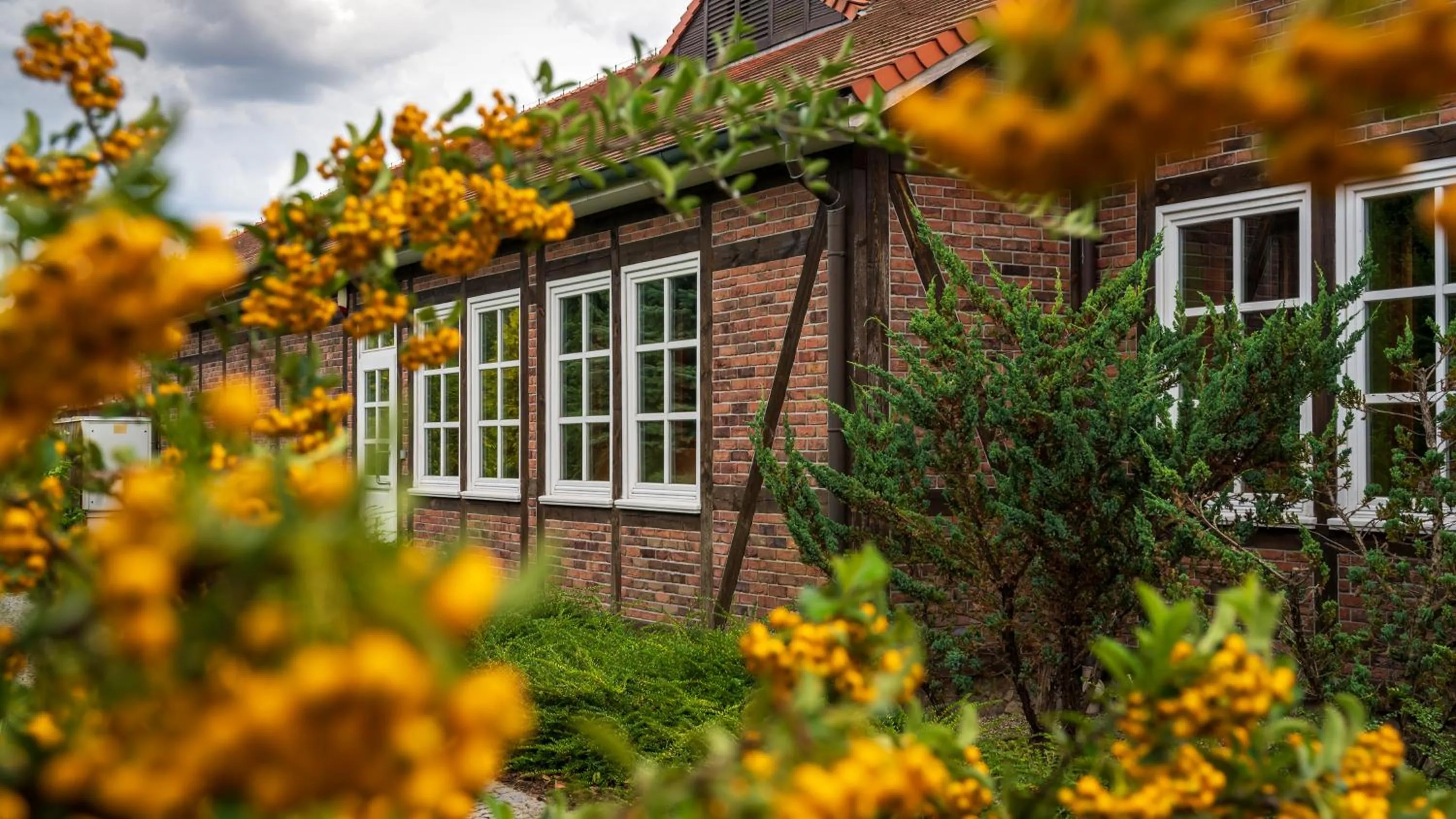 Garden in Hotel Habenda