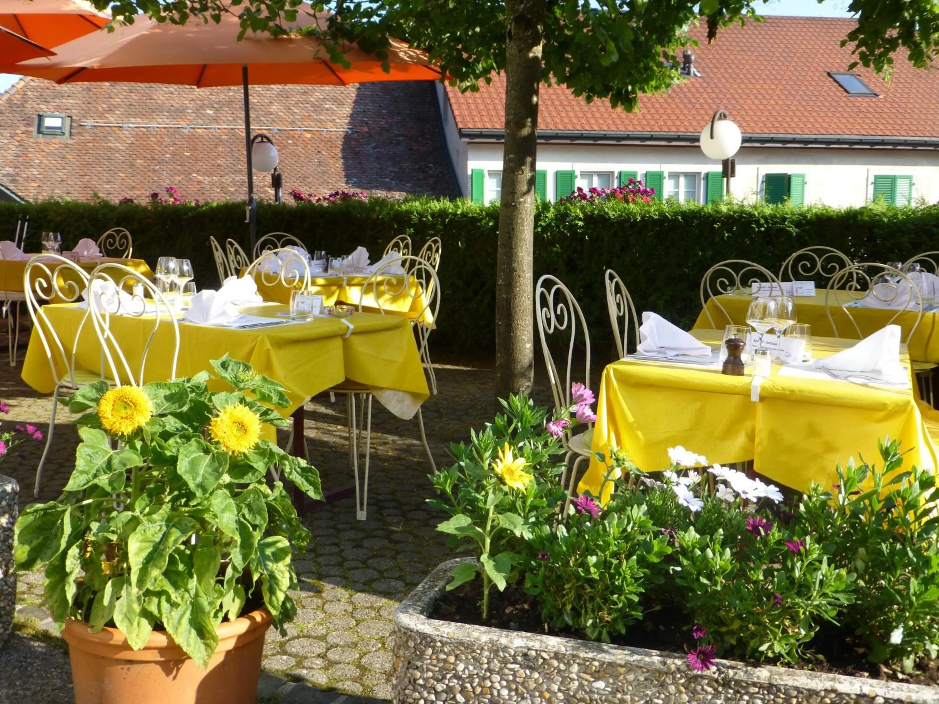 Patio in Hôtel de France