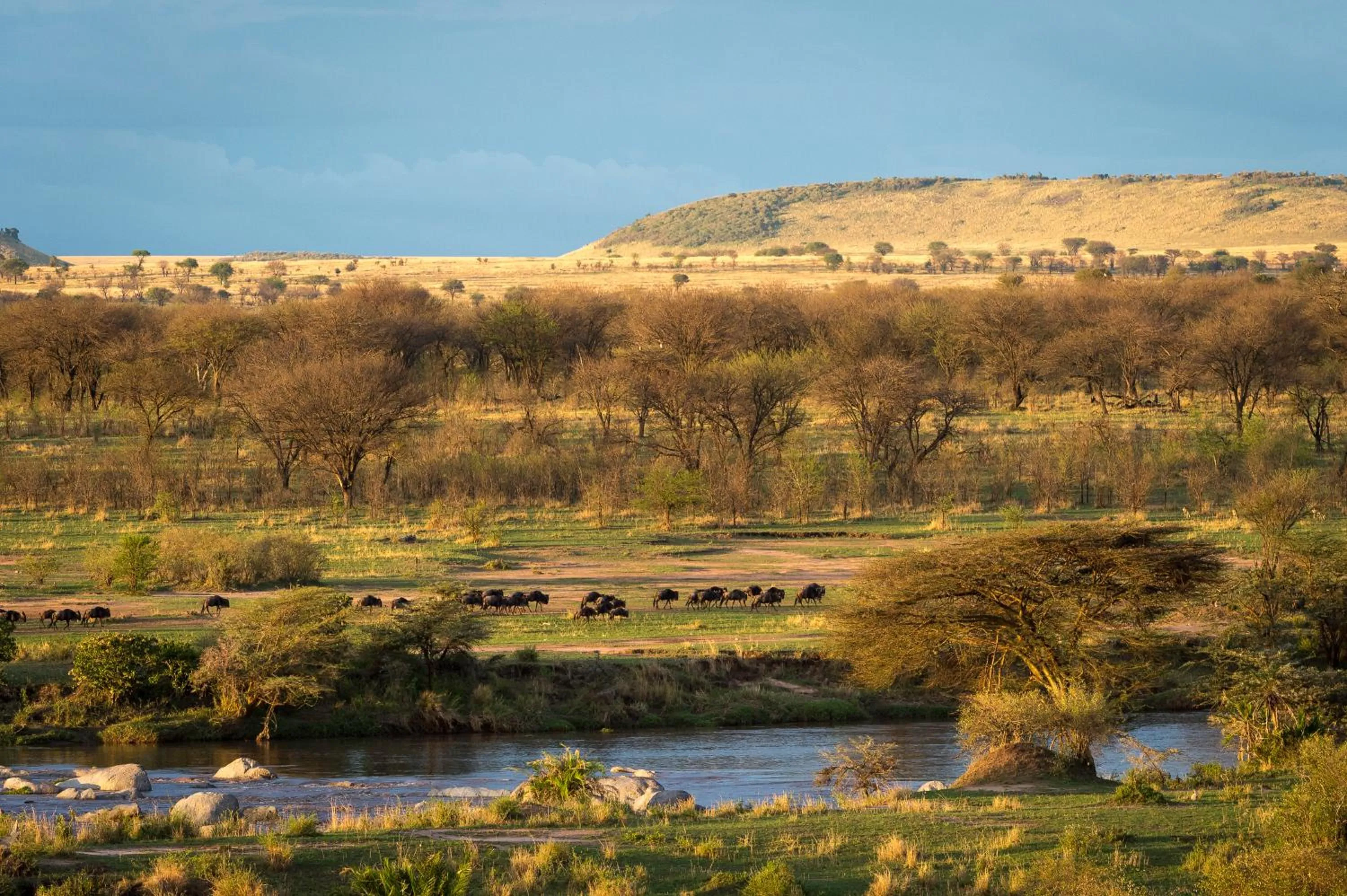 Natural landscape in Serengeti Mara River Camp