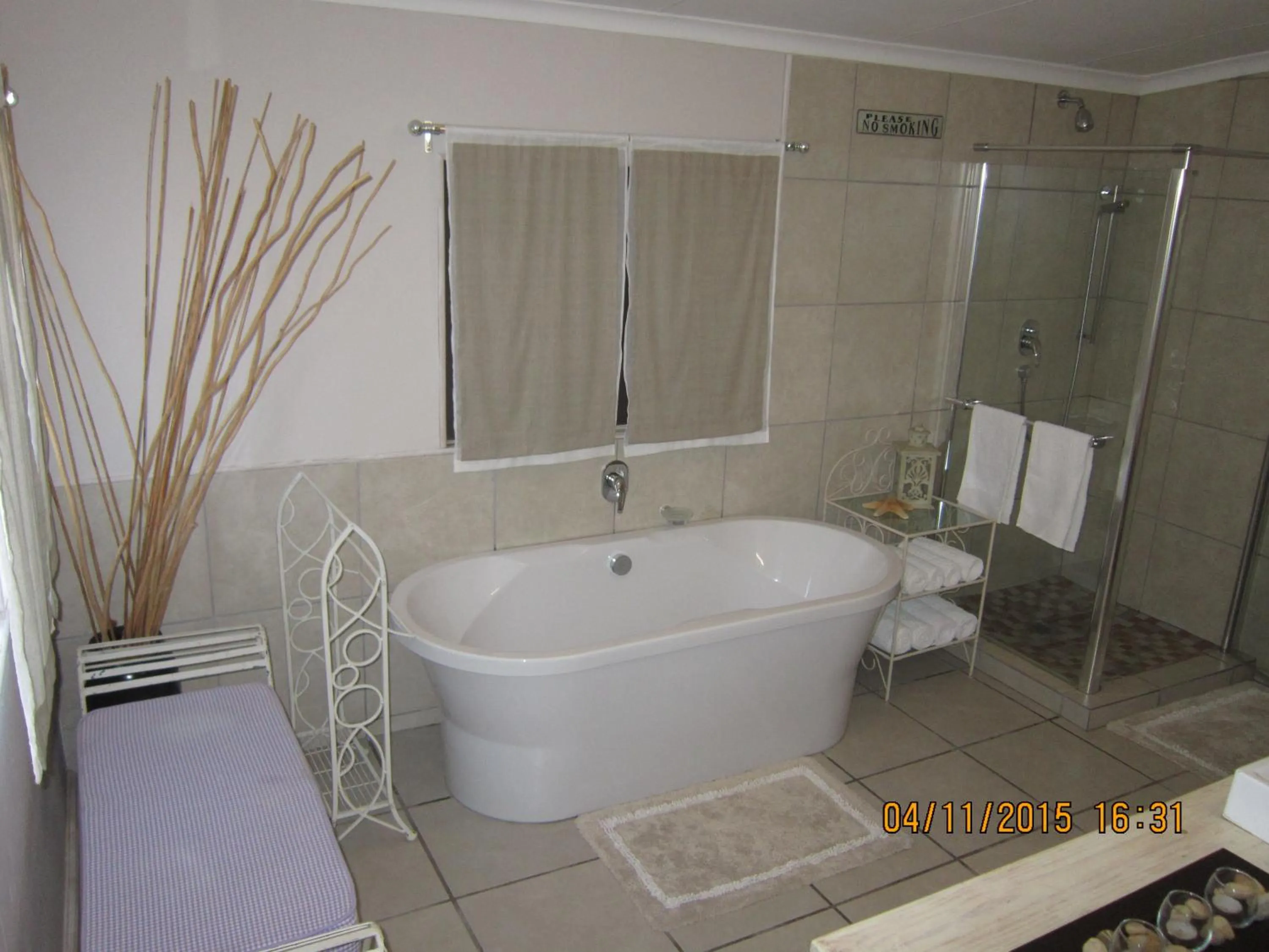 Shower in Twilight Cottage