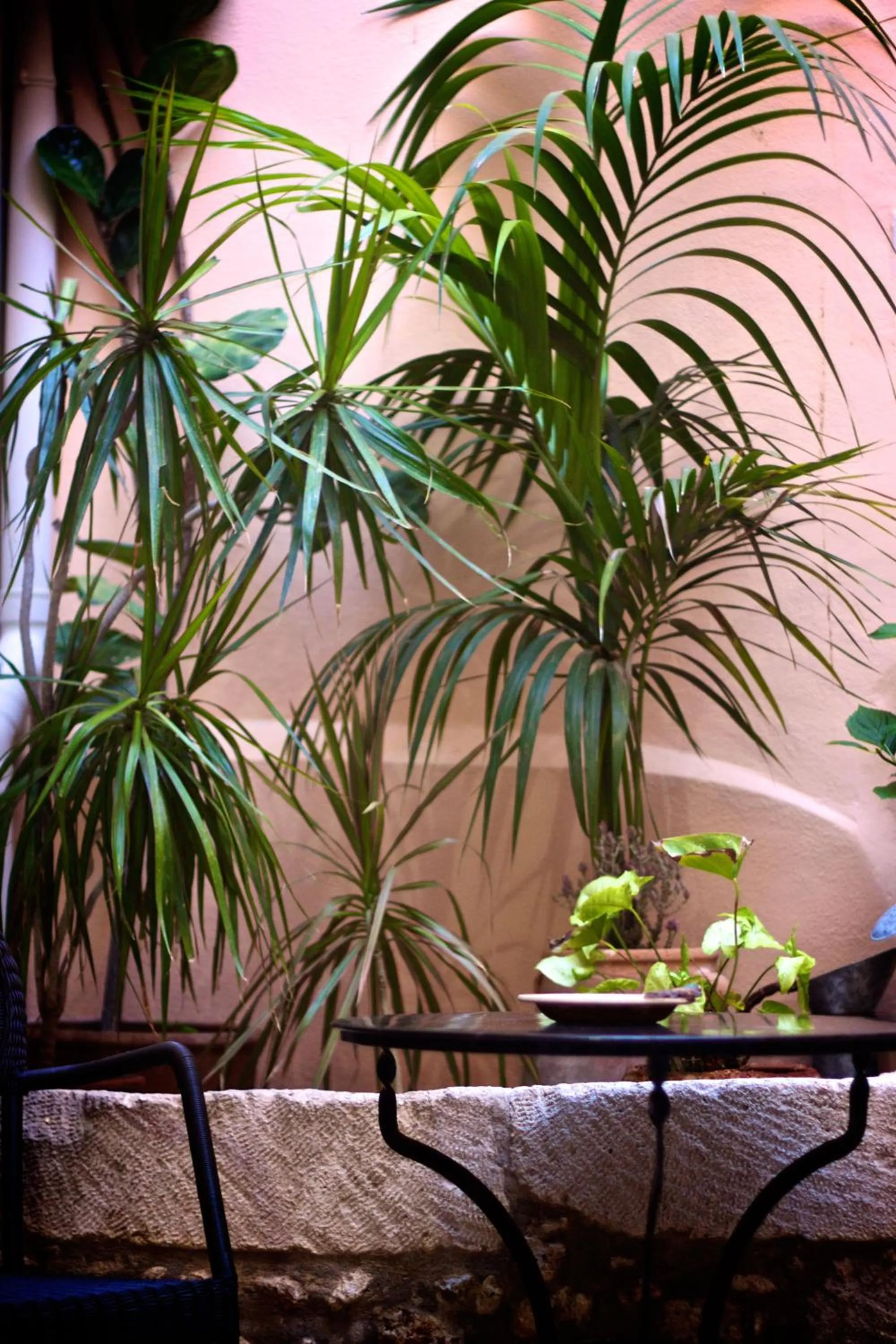 Patio in Casa Dei Delfini