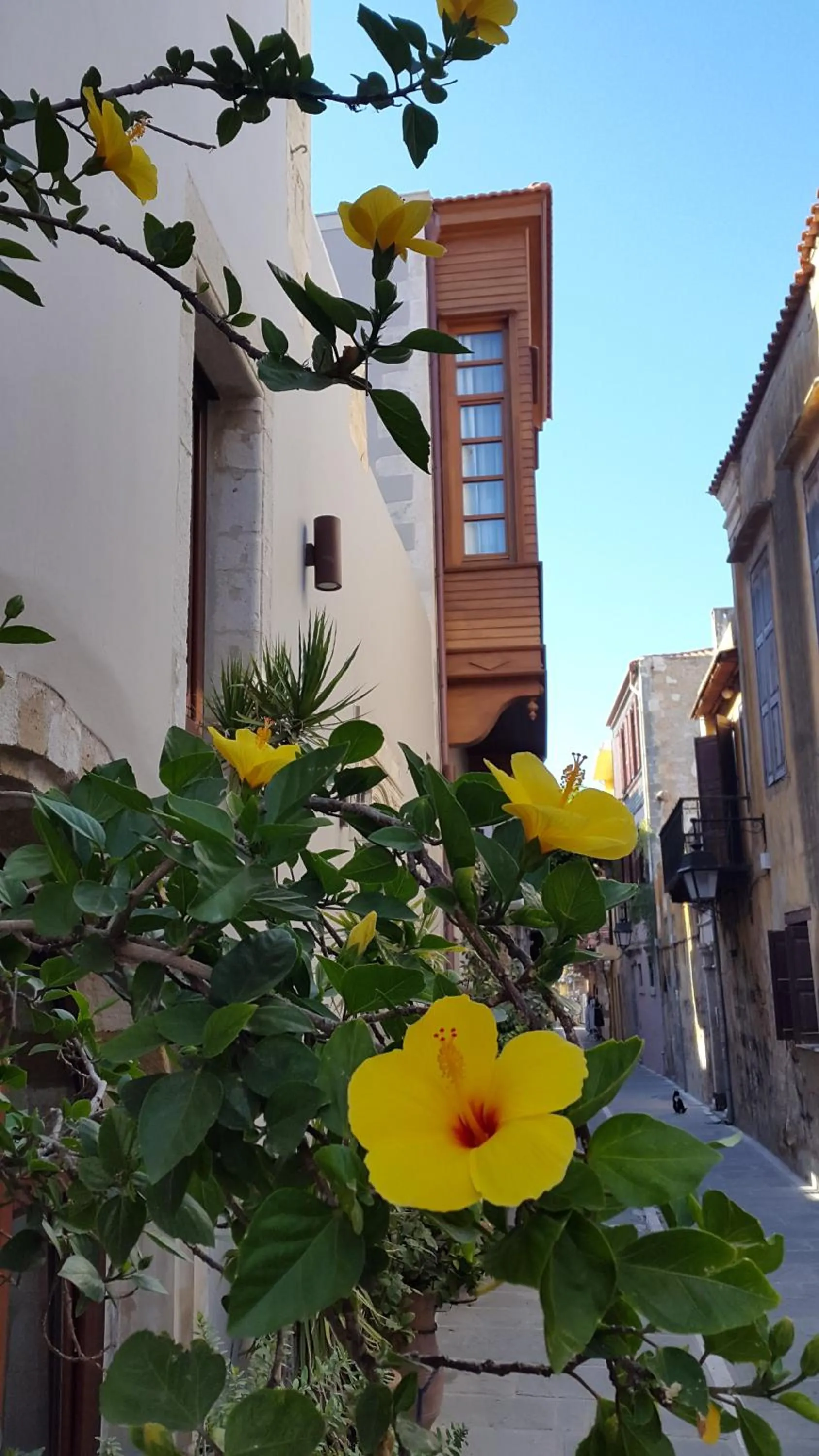 Facade/entrance in Casa Dei Delfini